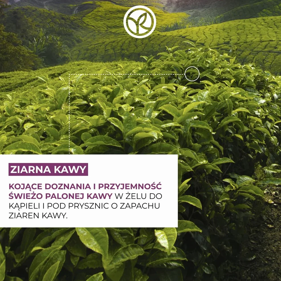 Yves Rocher Bain de Nature Ziarna Kawy – Energetyzujący i wyrafinowany żel pod prysznic i do kąpieli, aromatyczna pianka z ekstraktem, wegańska formuła, butelka z recyklingu, duża pojemność, 400 ml