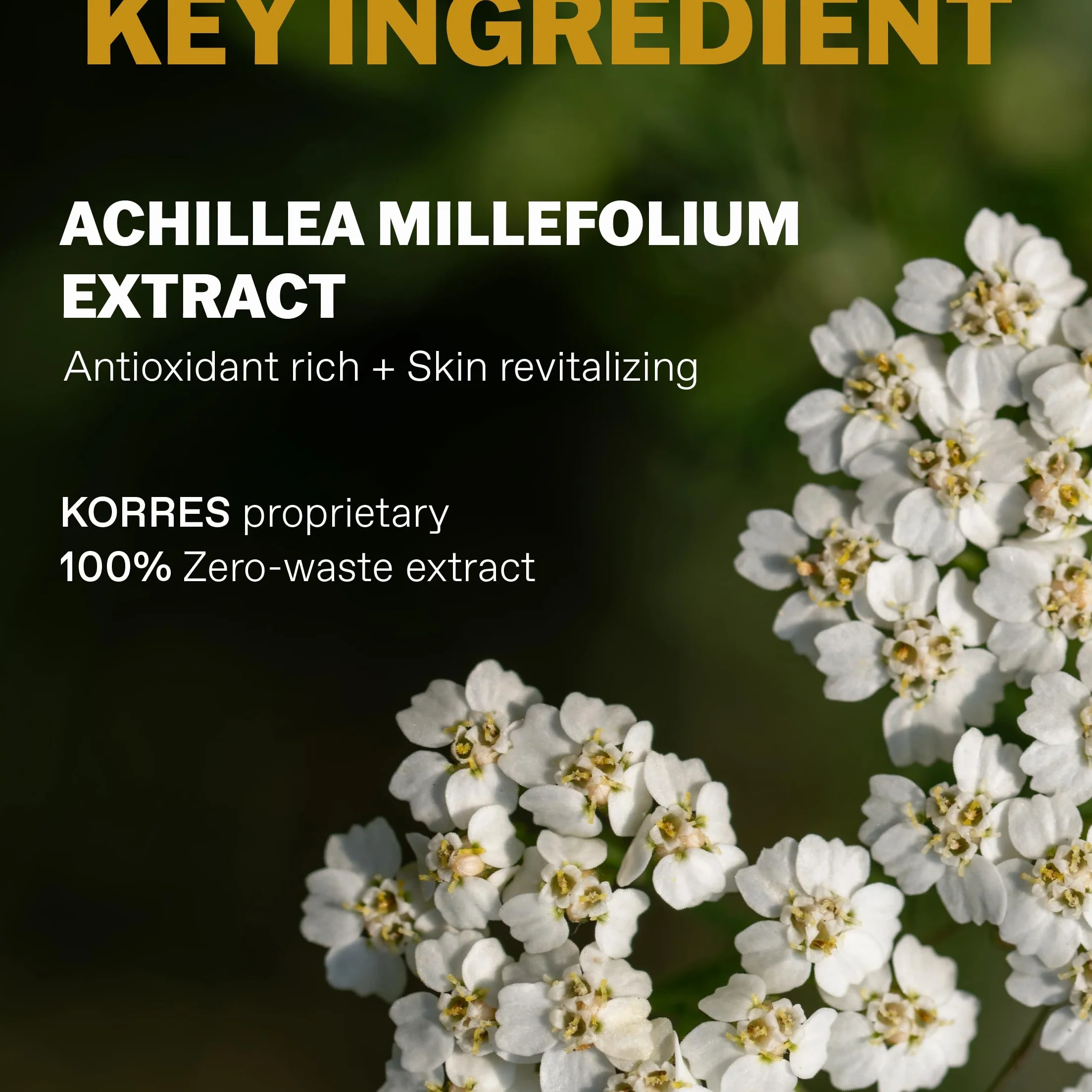 KORRES Athenian Grooming kojący balsam po goleniu dla mężczyzn, odświeżająca pielęgnacja skóry po goleniu, działa nawilżająco, uspokajająco i chłodząco, 125 ml