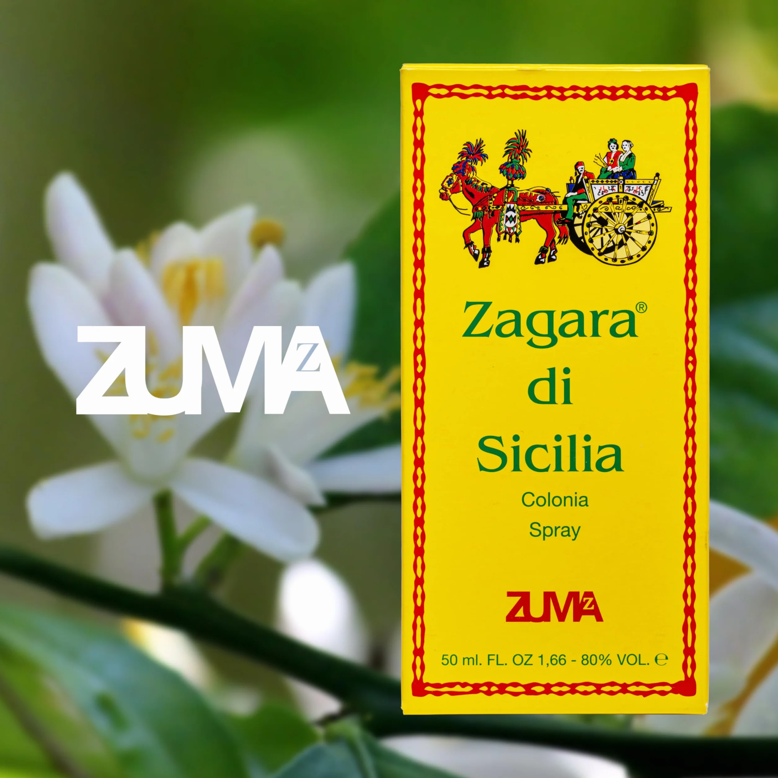 Perfumy Zuma - Zapach Zagara by Sycylia Kolonia Unisex Kwiatowy Zapach Spray - Unikalne emocje Neroli i Nuty Kwiatowe Wyprodukowano we Włoszech (Zagara di Sicilia 50 ml)