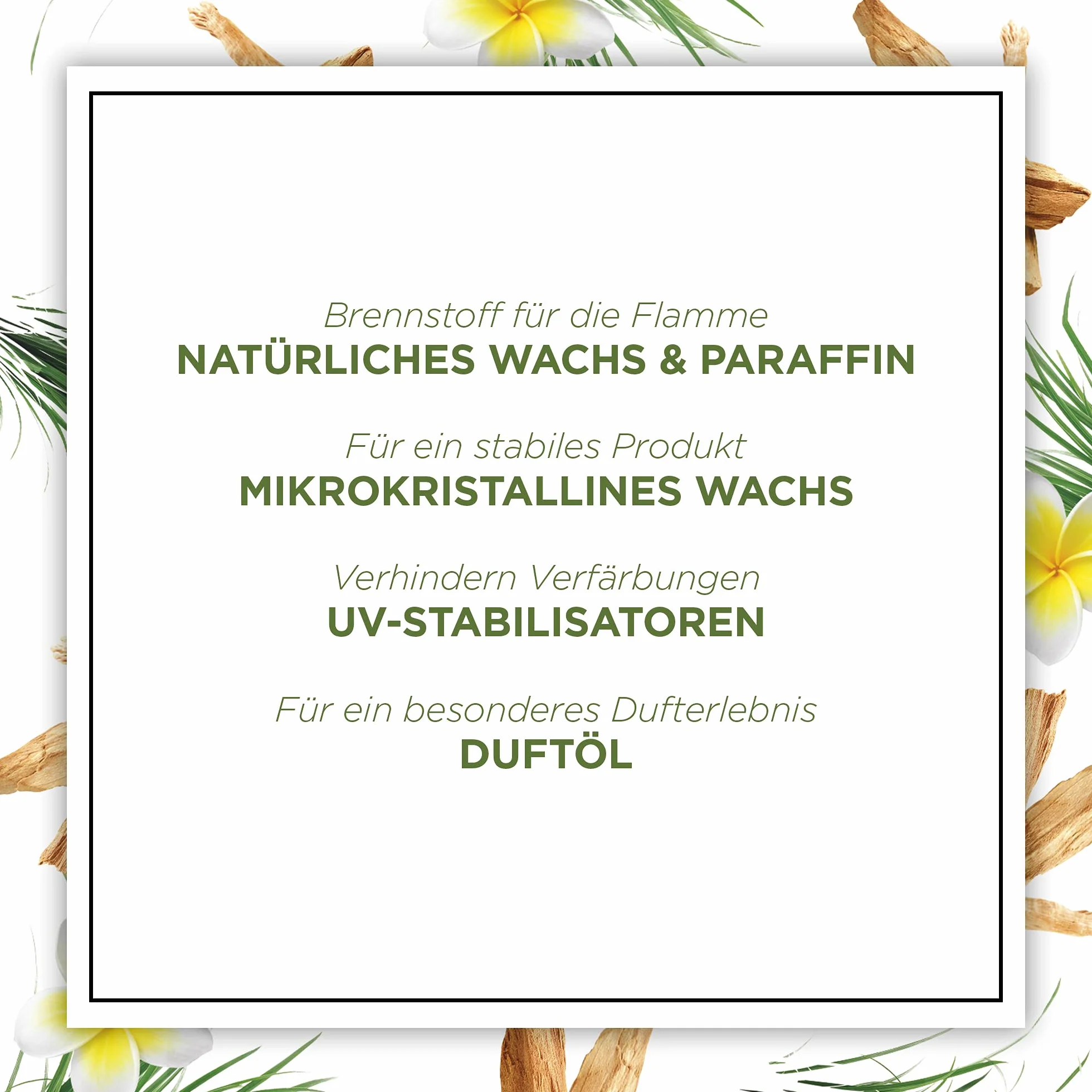 Botanica by Air Wick 6 x świeca zapachowa w słoiku – do 40 godzin na świecę – zapach: słodka trawa i drzewo sandałowe – zrównoważona produkcja z naturalnych składników – 6 x 205 g świeca w słoiku