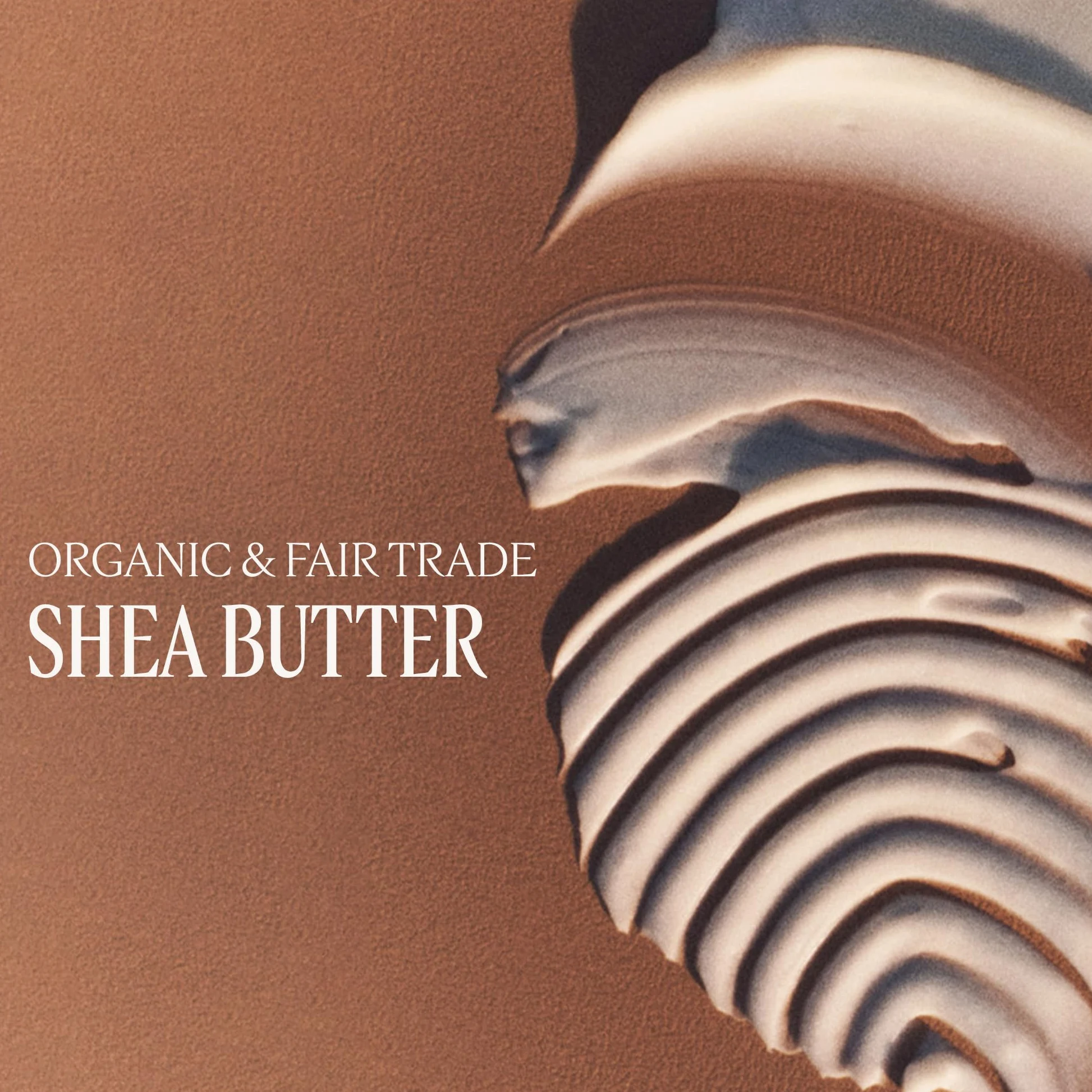 L'OCCITANE Balsam do stóp Shea Confort – 150 ml – wyprodukowano we Francji