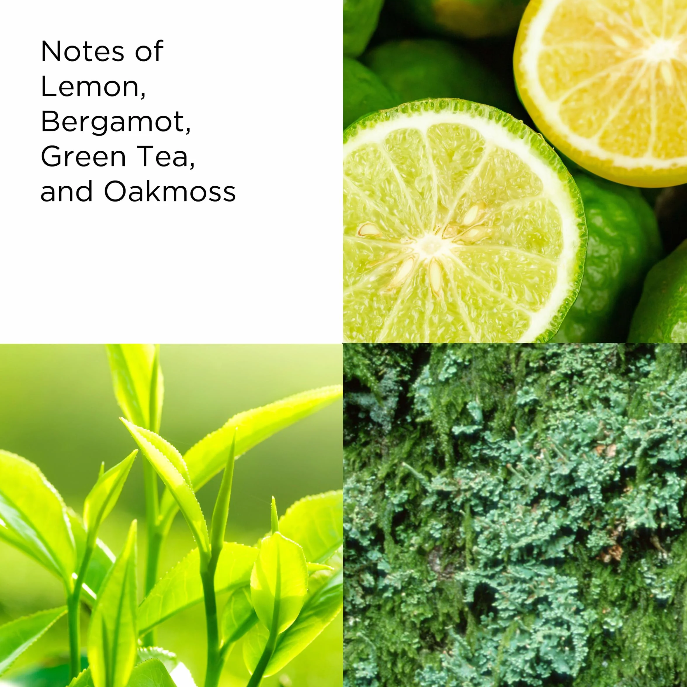 Elizabeth Arden - Green Tea, Eau de Parfum, perfumy z naturalnymi esencjami, takimi jak zielona herbata i bergamotka, orzeźwiający, kwiatowy i cytrusowy zapach, pobudzają zmysły, ożywia
