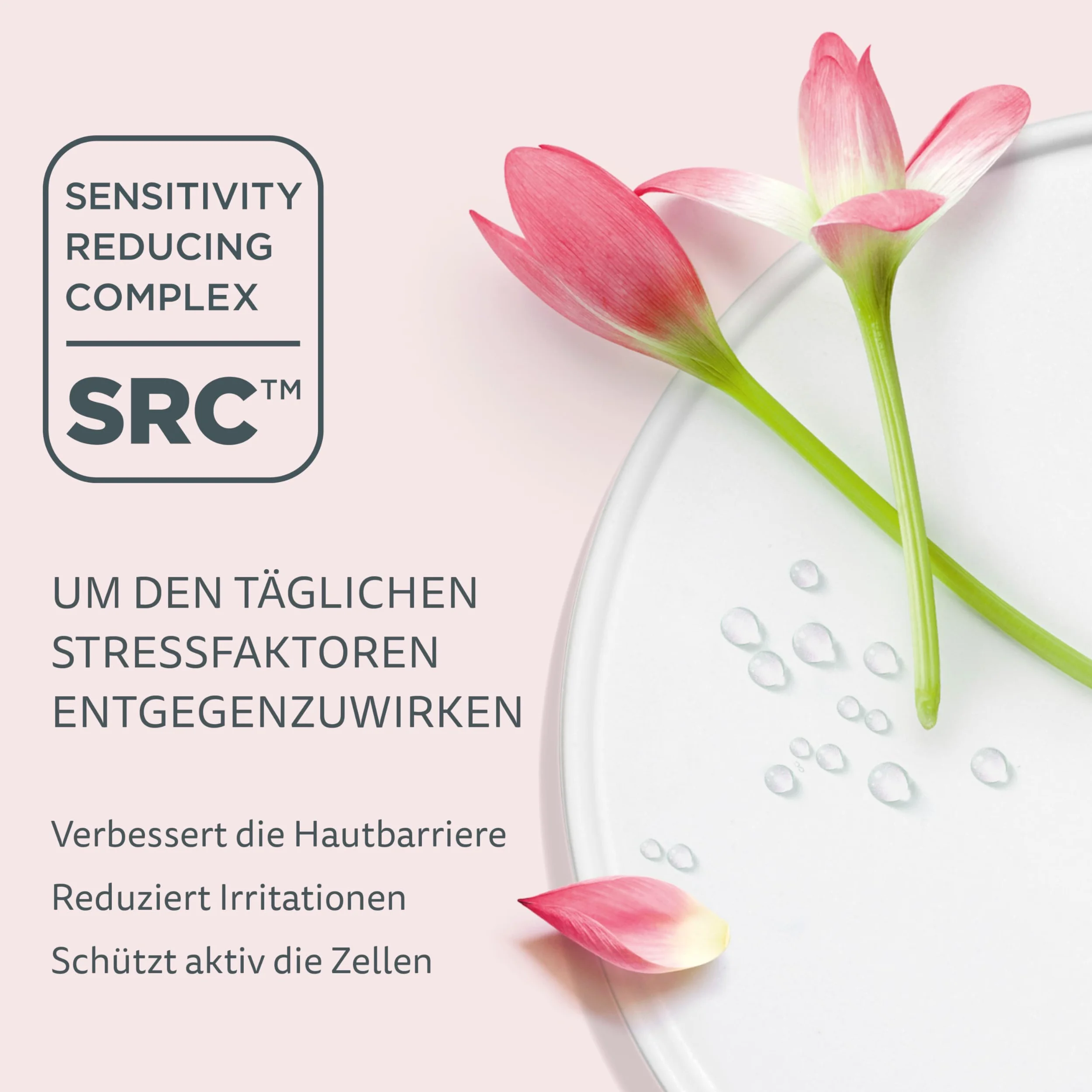 Declaré Essential Eye Lifting Serum 15 ml - Intensywny lifting powiek – dla zmęczonych, wiotkich oczu – Z kwasem hialuronowym, Bio Sensiline i Bio Strukturine – Do każdego rodzaju skóry