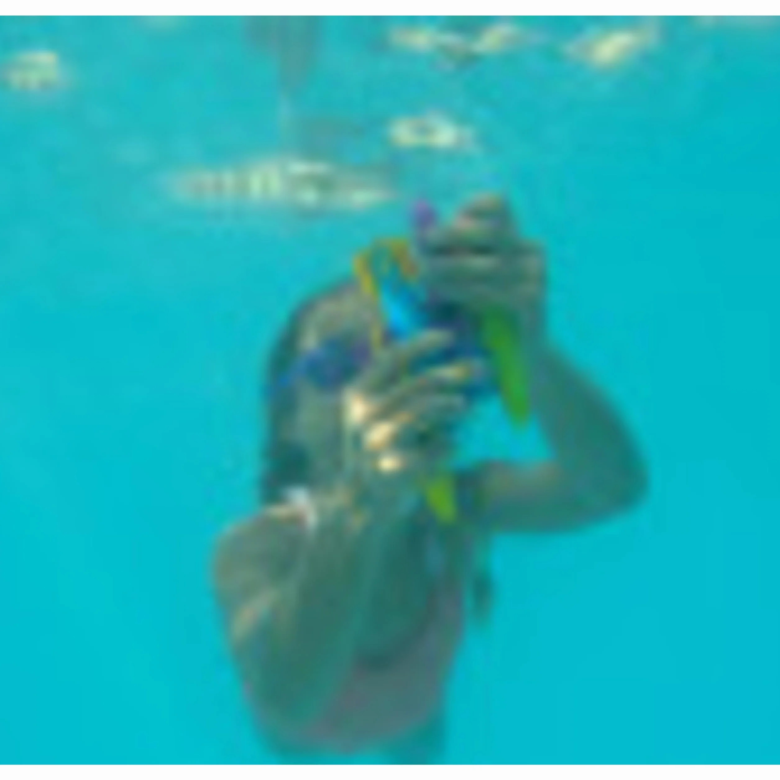 Swim Ways 991058 SwimWays ToyPedo Bandits zabawka do nurkowania