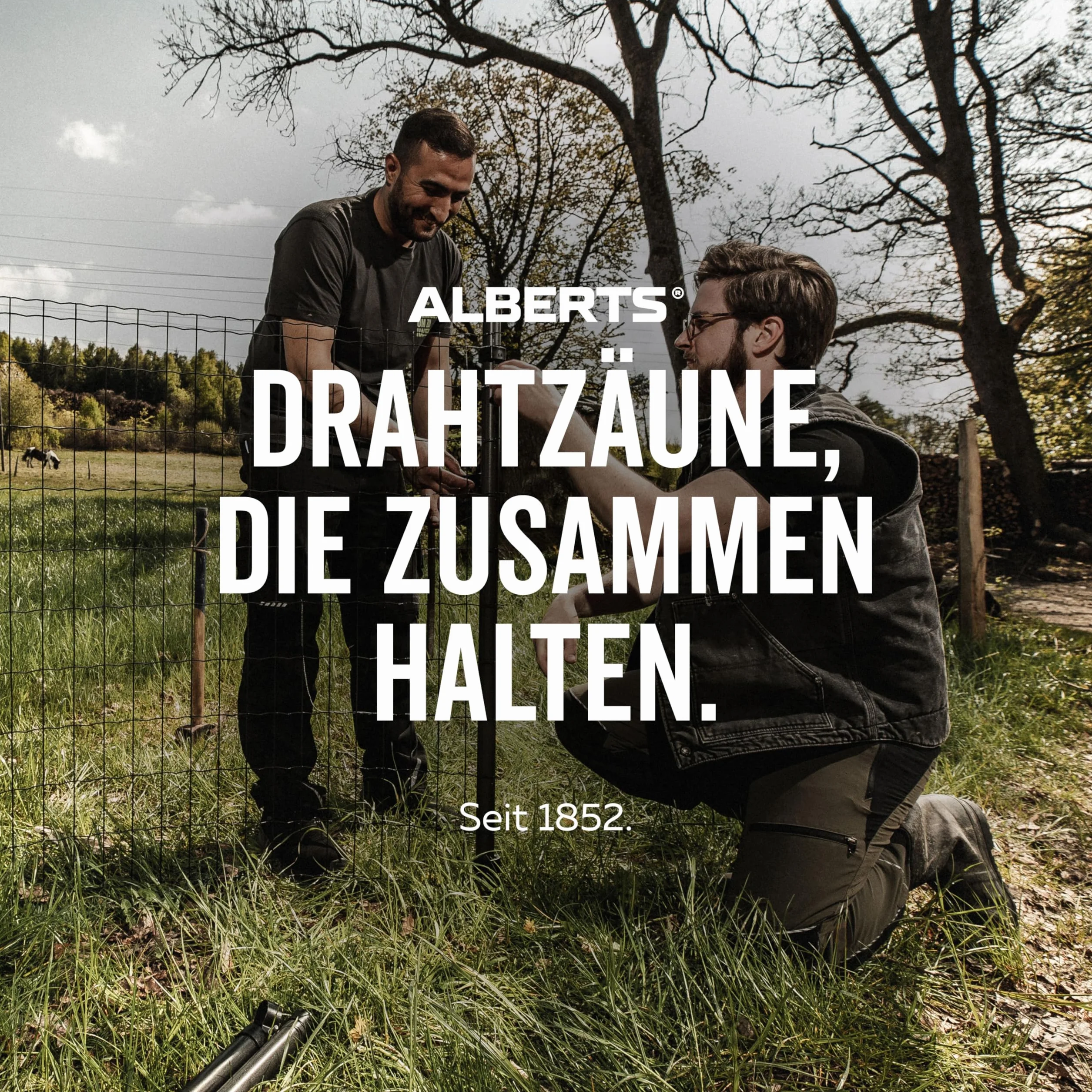 Alberts 611934 Grzebień napinający | do naprężania siatek zgrzewanych | tworzywo sztuczne, czarny