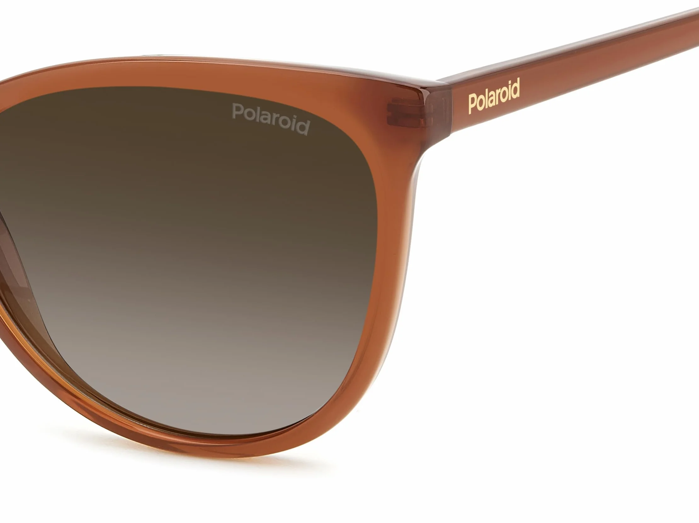 POLAROID Okulary damskie, Kolor: wielokolorowe, 55