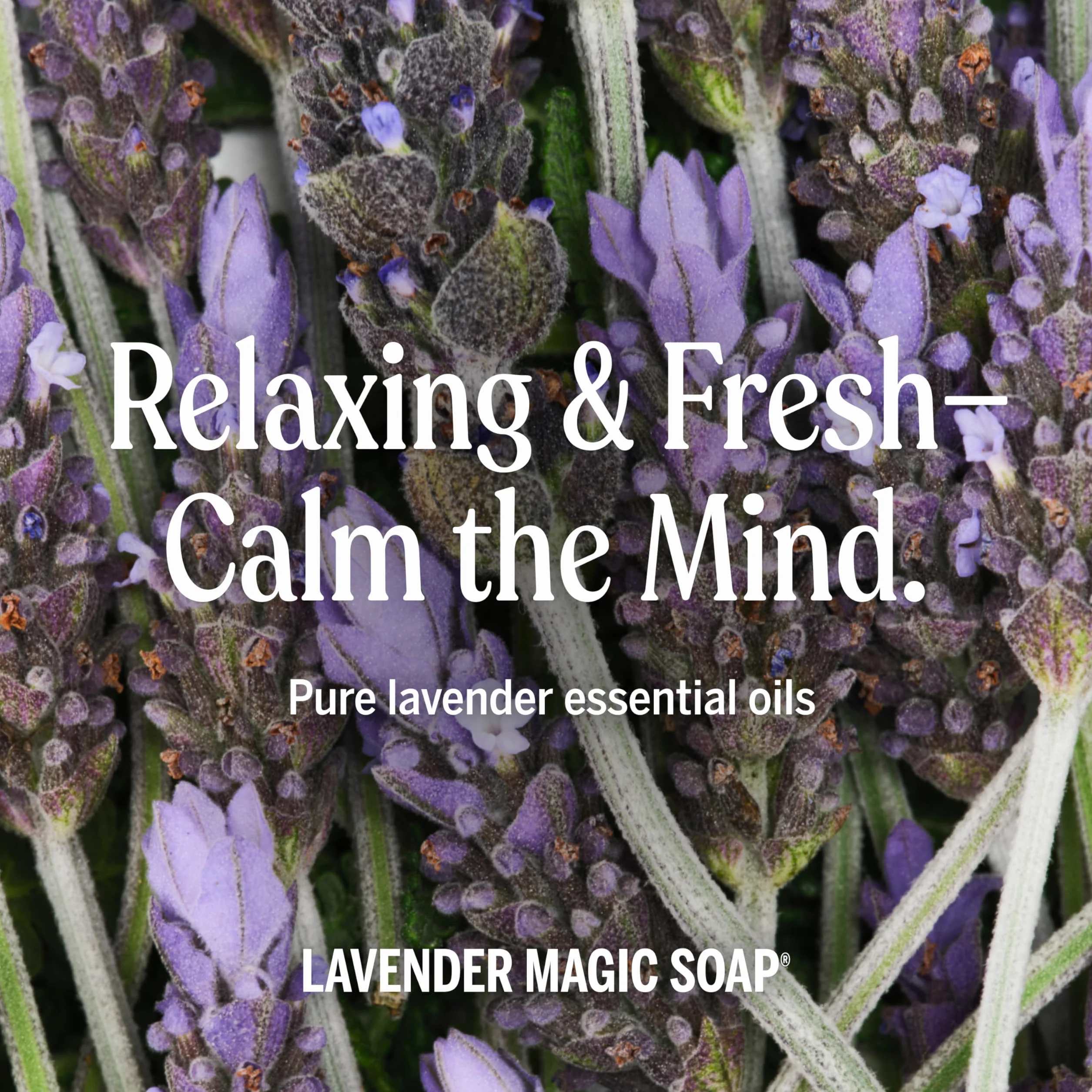 (240ml, Lavender) - Dr. Bronner's Fair Trade & Organic Castile Liquid Soap - (Lavender, 240ml)