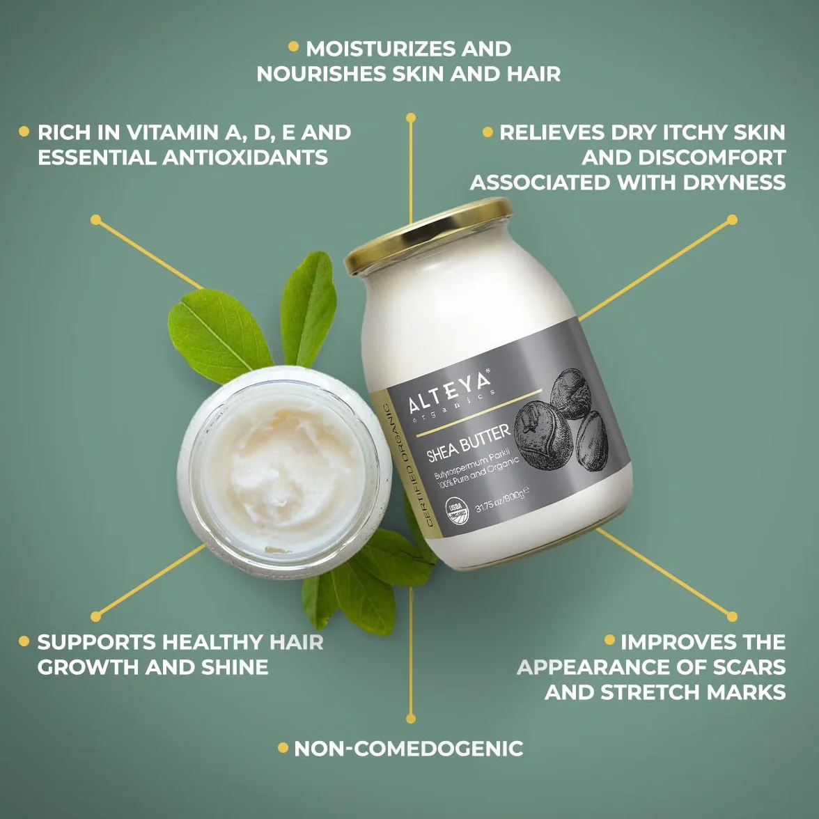 Alteya Bio masło shea 900g – 100% certyfikat USDA Organic, czyste naturalne rafinowane masło shea (Butyrospermum Parkii)