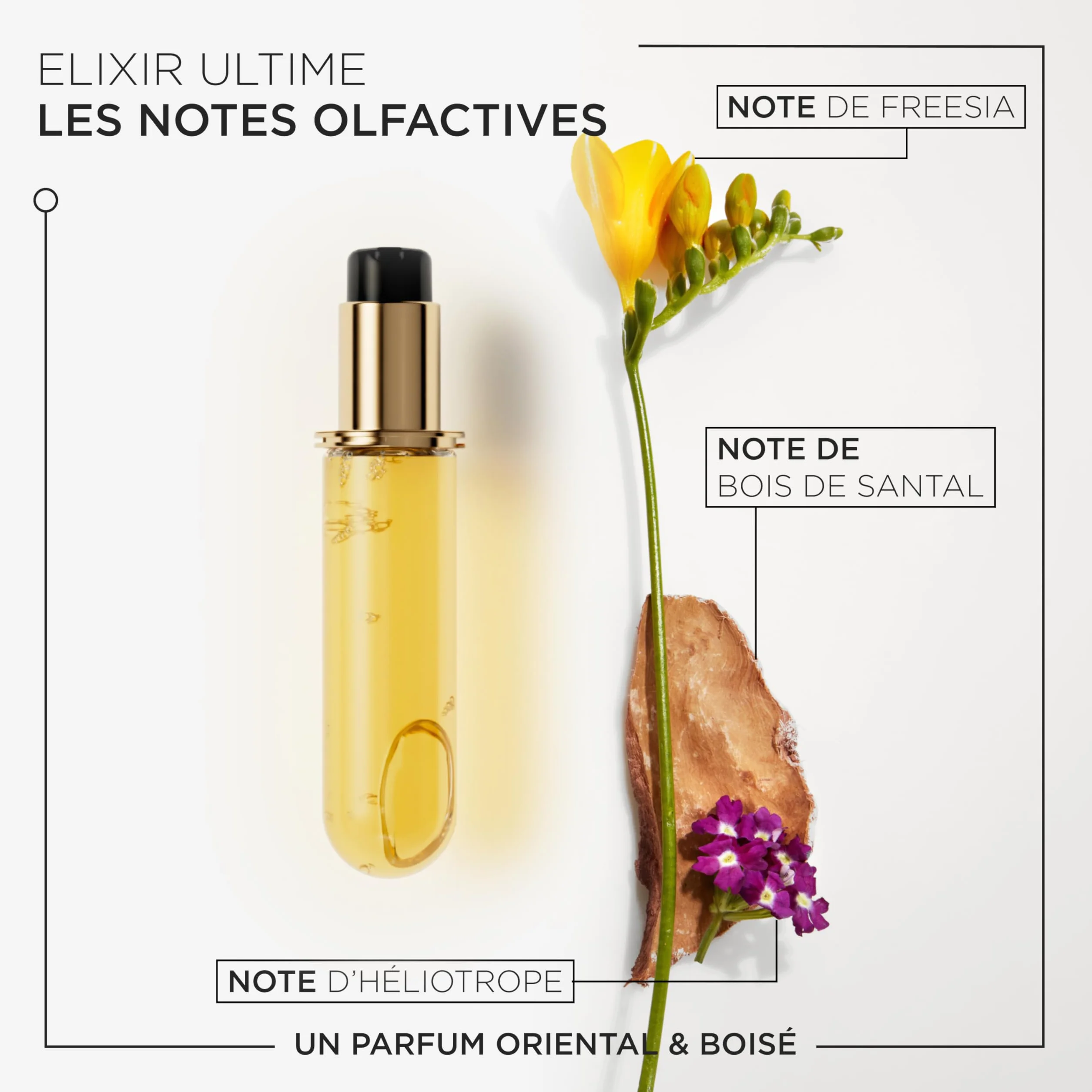 Kérastase Elixir Ultime Olejek do Włosów, 75 ml