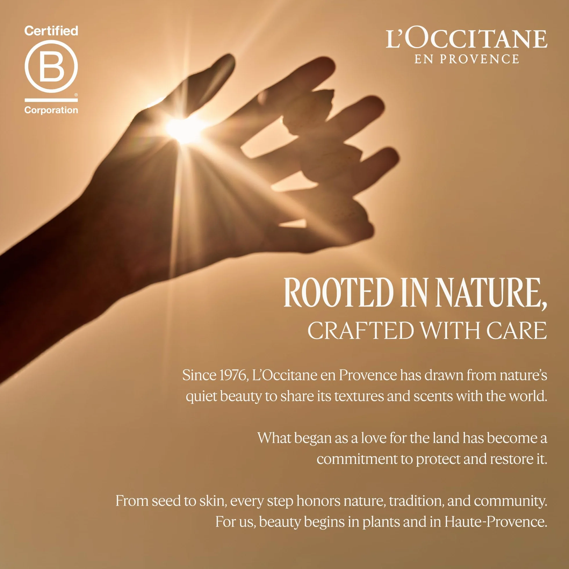 L'OCCITANE - Krem do rąk Shea, 150 ml, sucha skóra, wyprodukowano we Francji