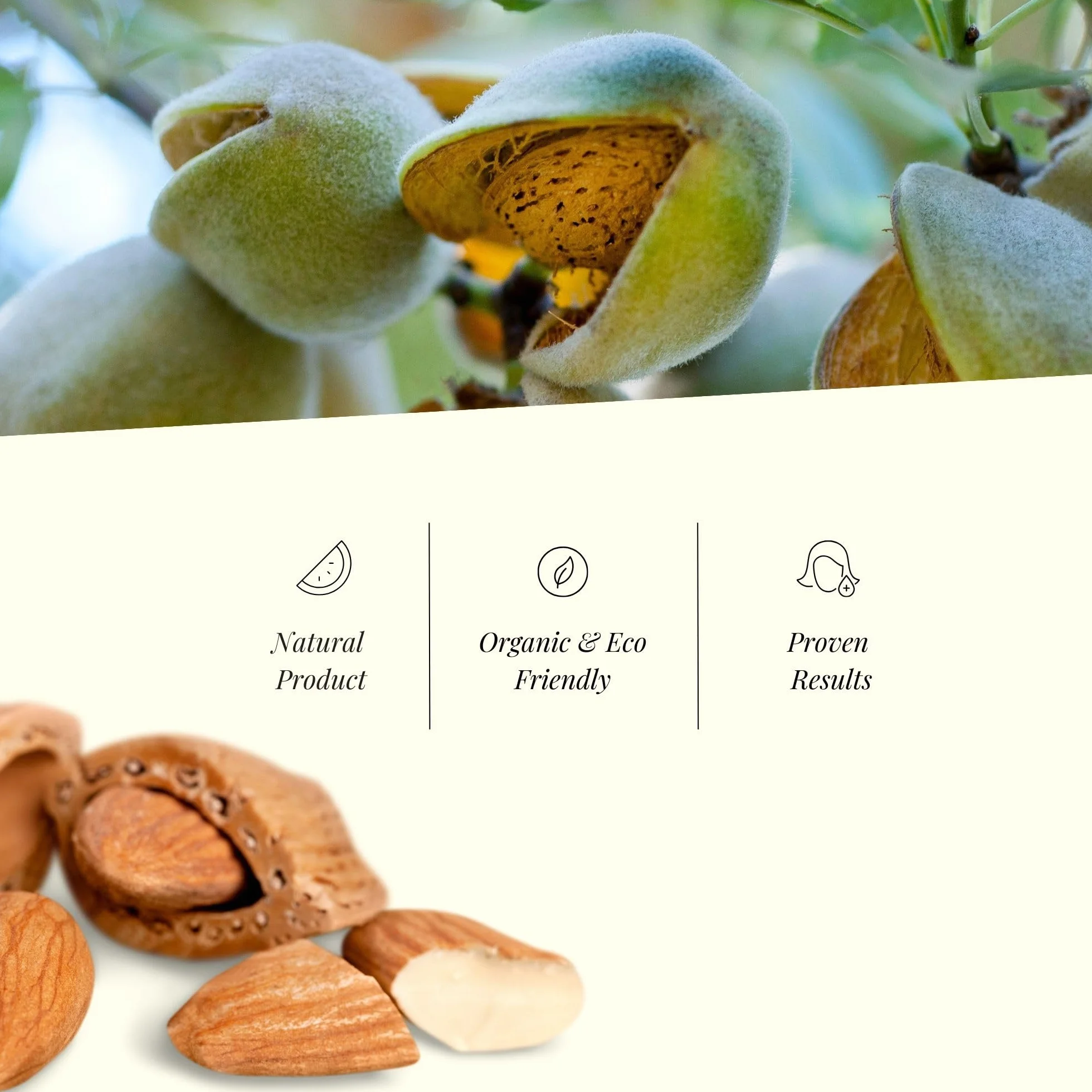 Naturalny Olejek Migdałowy 1000ml | Wegański | Idealny dla Wszystkich Skór | Do Masażu, Pielęgnacji Niemowląt, Kąpieli, Ciała i Włosów