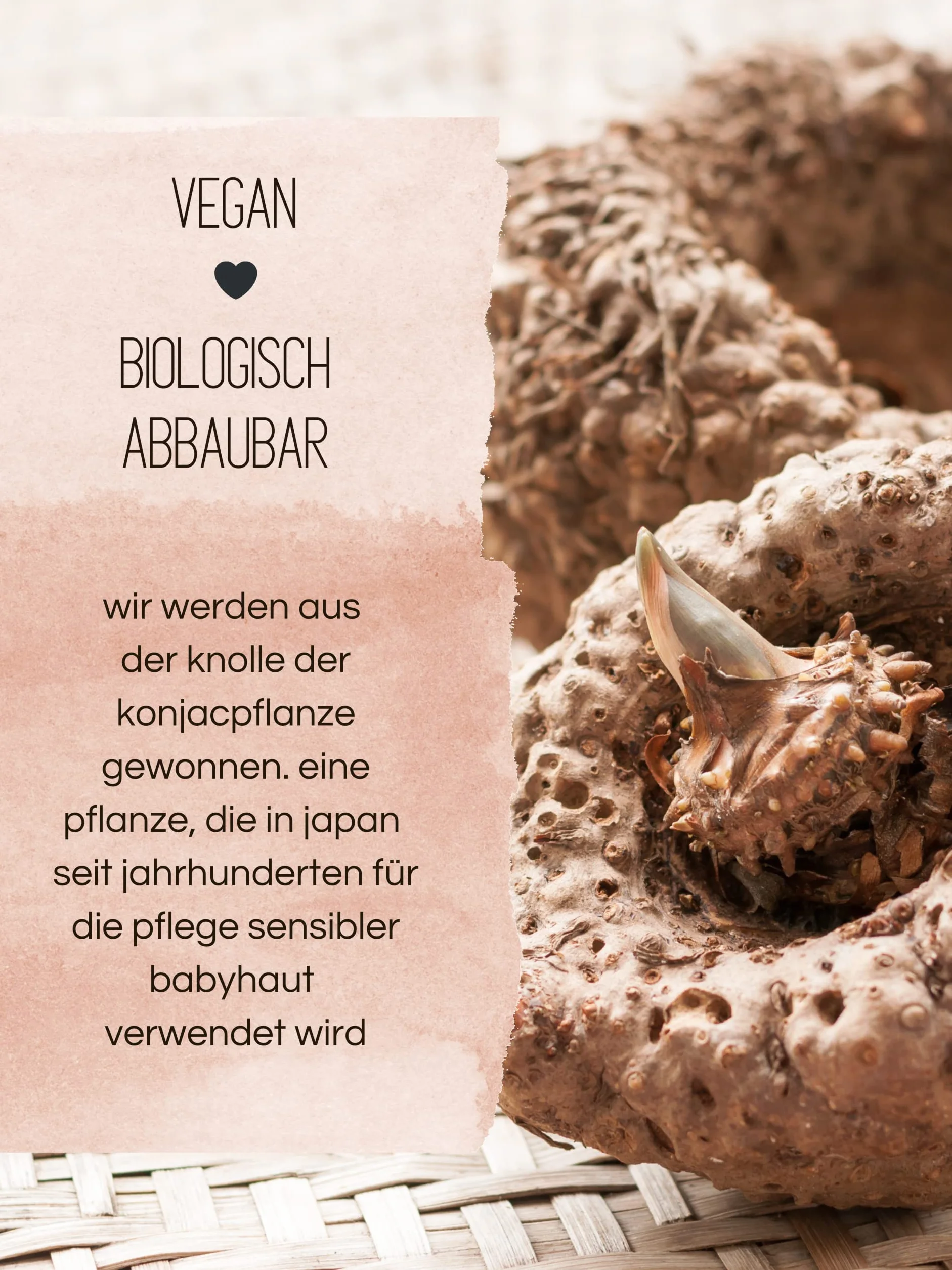 Naturalna gąbka konjac dla niemowląt i dzieci w kształcie gwiazdki, wanna, wegańska, roślinna