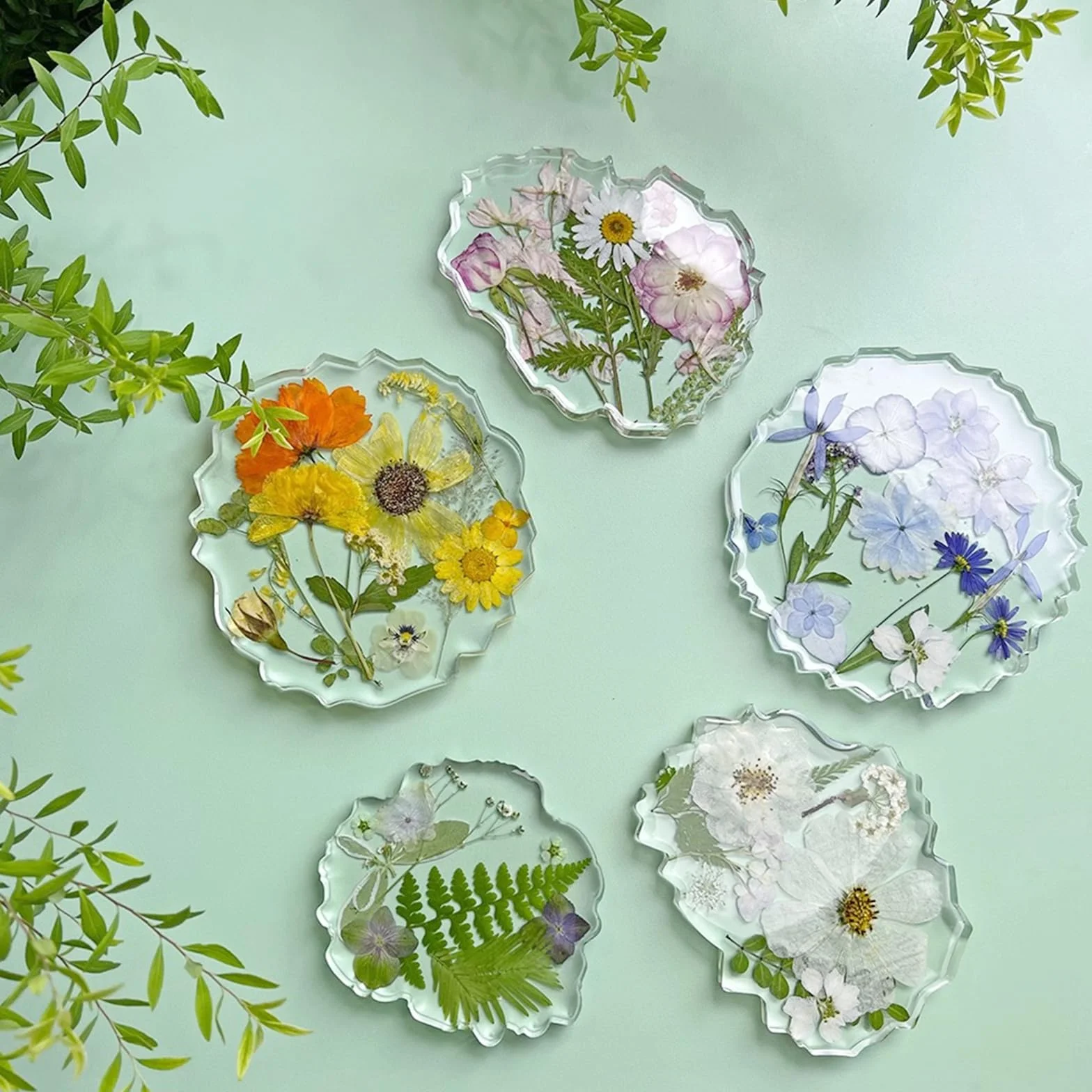Cayway Naturalne suszone kwiaty, prasowane kwiaty, kolorowe kwiaty z żywicy, prawdziwe prasowane kwiaty do scrapbookingu, rękodzieła artystycznego, biżuterii z żywicy epoksydowej, materiałów do