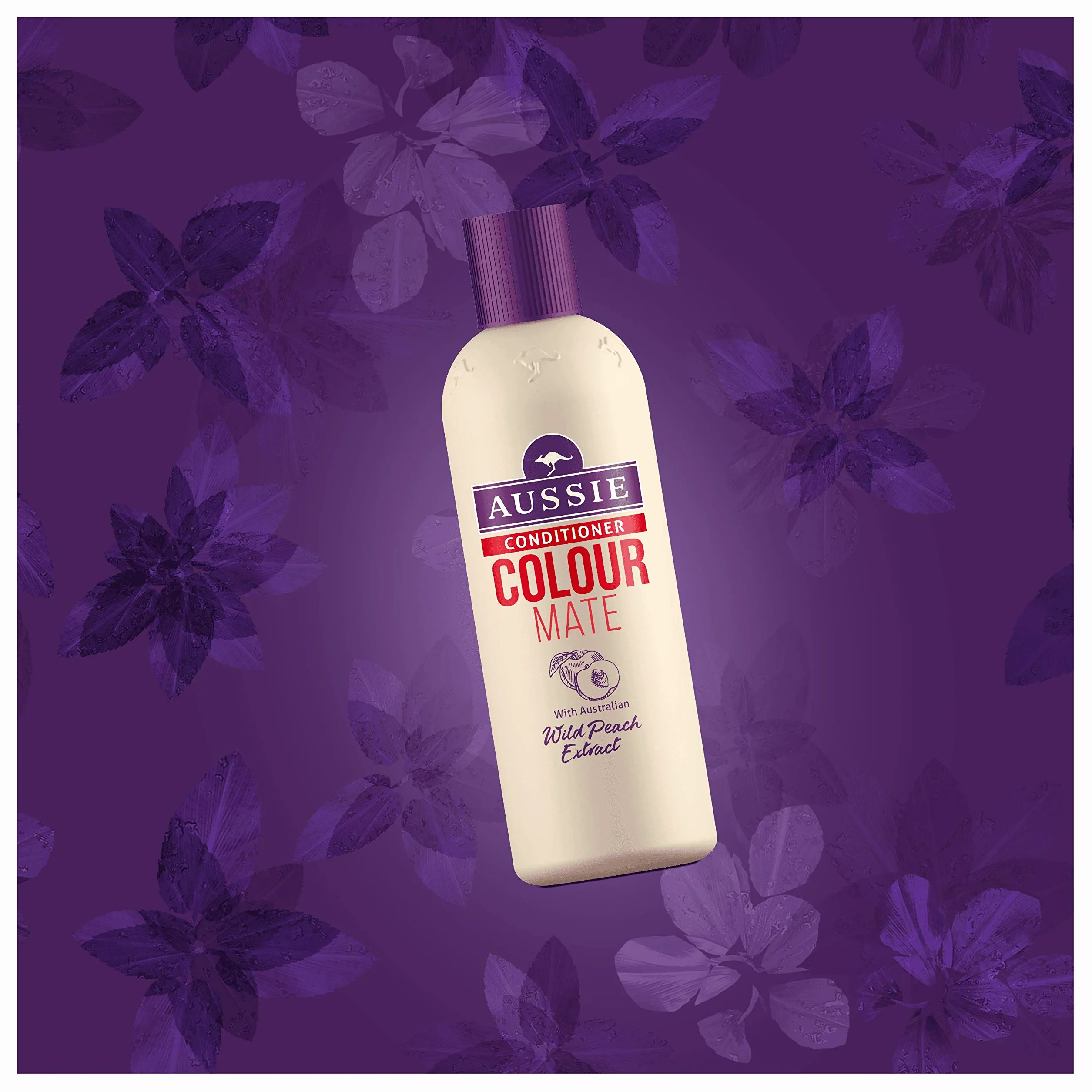 Aussie Colour Mate odżywka do włosów farbowanych, 1 opakowanie (1 x 250 ml)