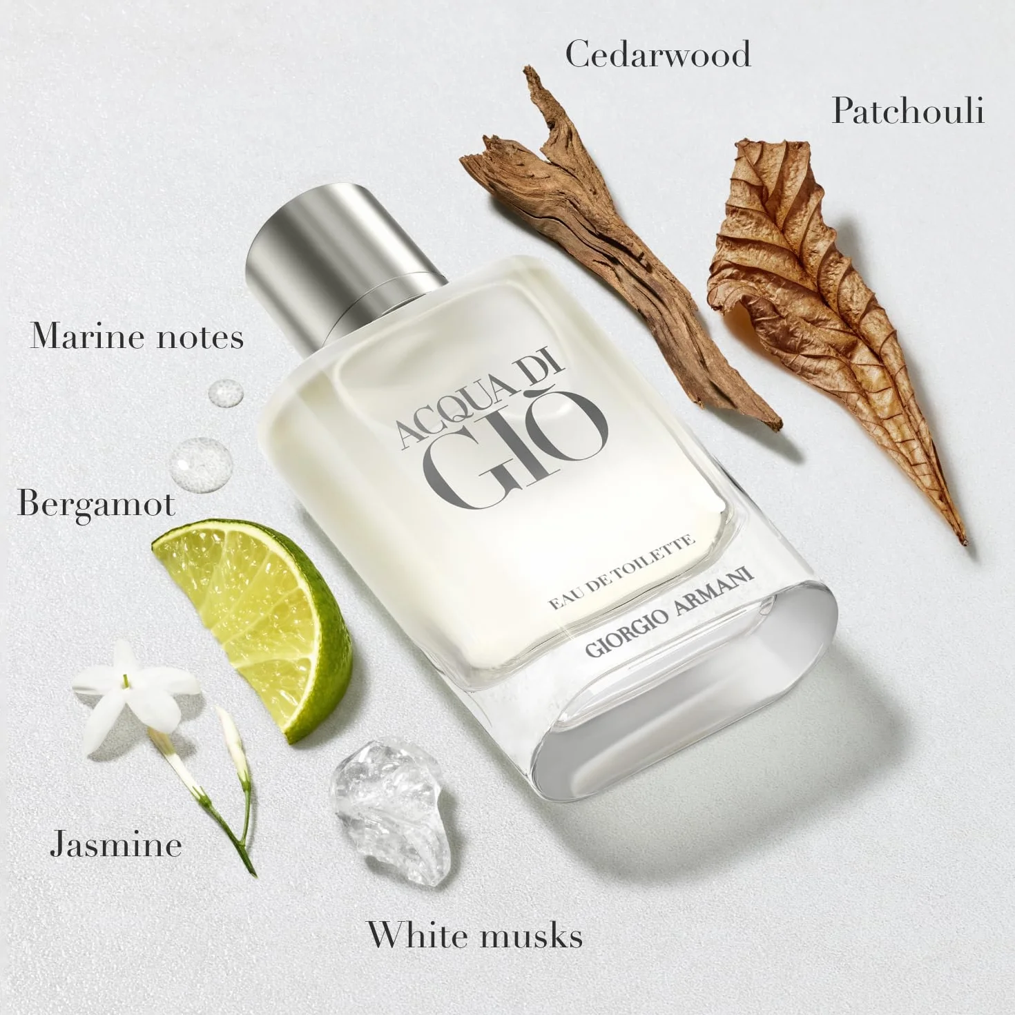 Giorgio Armani Acqua Di Gio Woda Toaletowa 100 ml