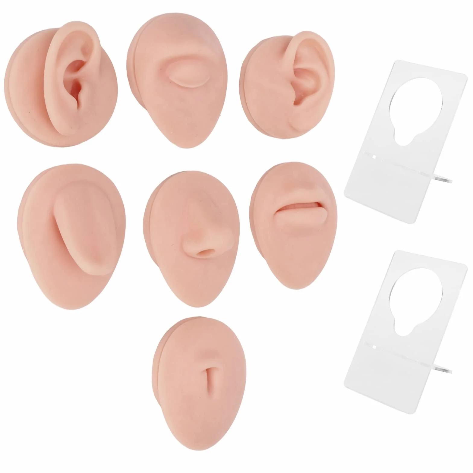JTLB Silikonowy Model Ciała do Piercingu, Zestaw Symulacji, Narzędzie Dydaktyczne