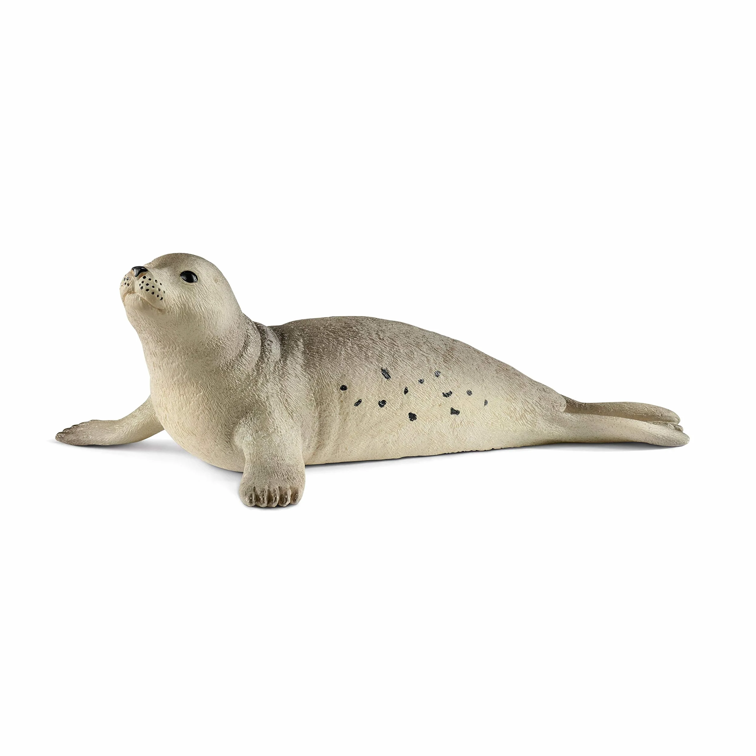 schleich WILD LIFE | Foka pospolita 14801 | Szczegółowa figurka zwierzęcia | Zabawka zoo | Prezent dla dzieci | Figurka do zabawy od 3 lat | 11 × 7 × 4 cm