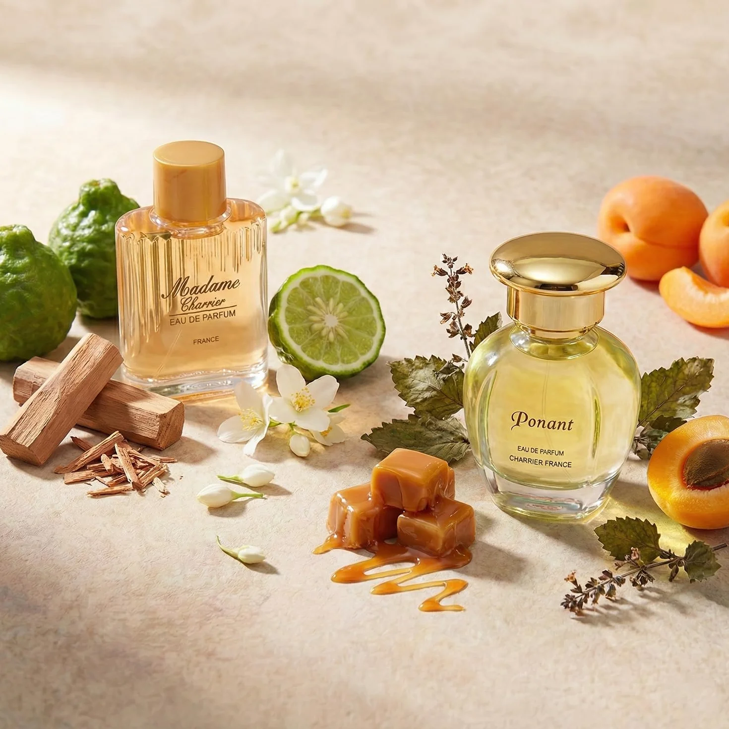 Top Ten Gift Set of 10 Eau de Parfums Miniatures Total 53,7 ml