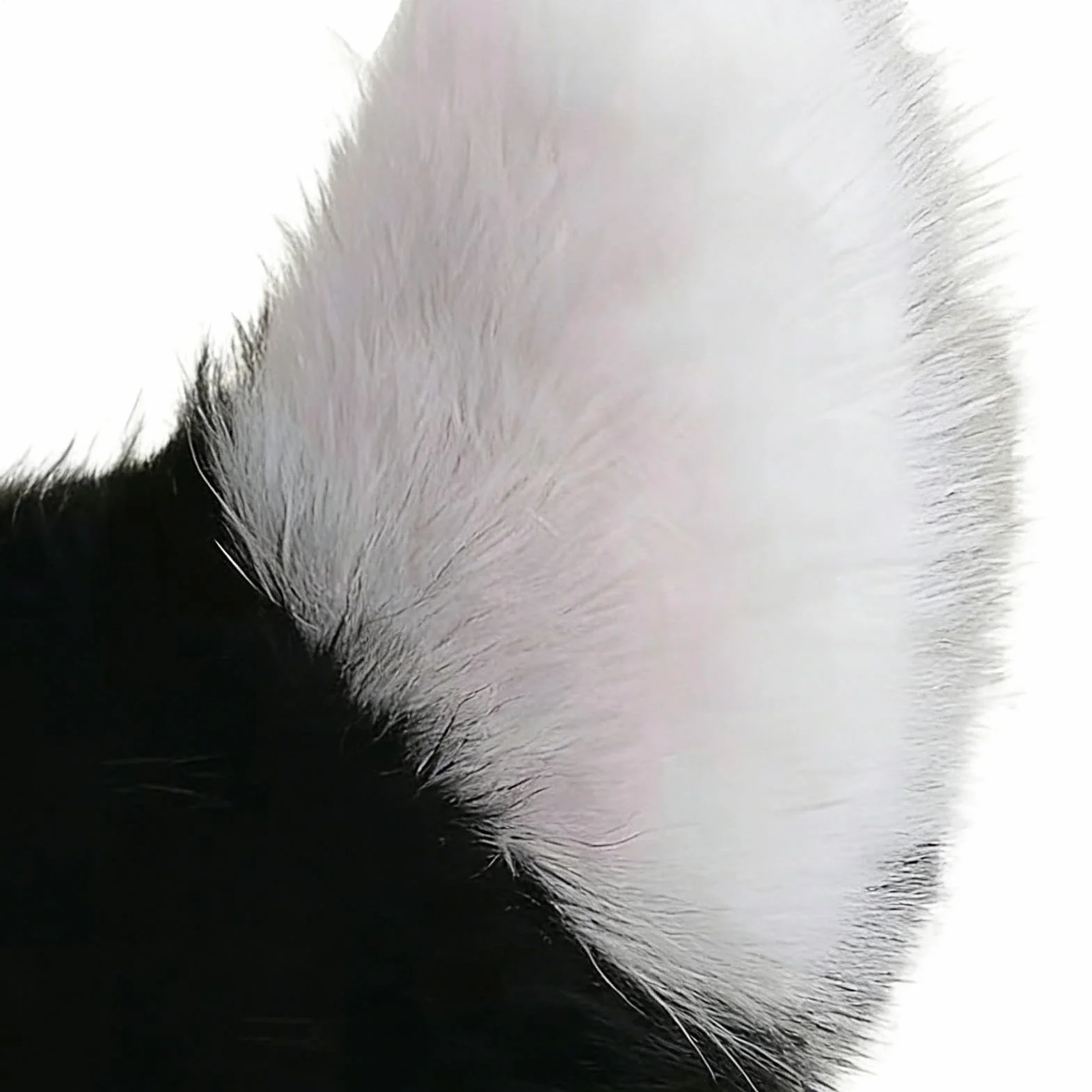 Moving Tail Cosplay – dekoracja zewnętrzna pojazdu – gadżet dowcipny na motocykl, dla motocyklistów, modyfikatorów, występów scenicznych, wydarzeń tematycznych, maskarady, przedstawień