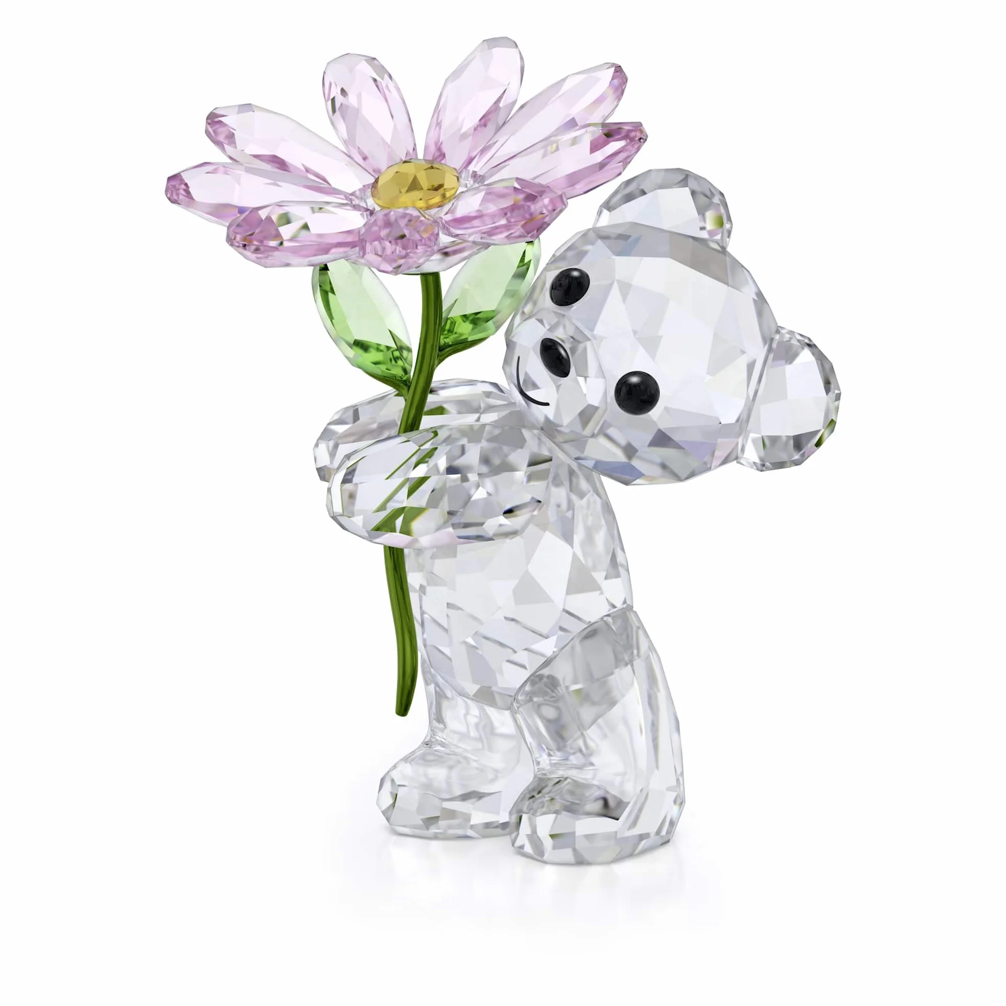 Swarovski Miś Kris Stokrotka dla Ciebie