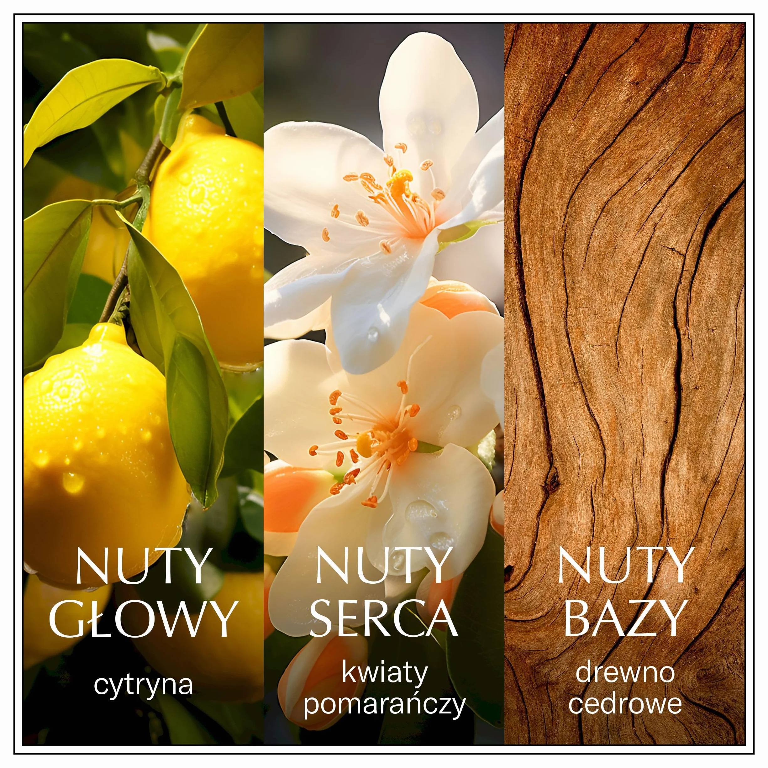 Chanson d’Eau Lemon woda toaletowa dla kobiet o orzeźwiającym zapachu cytryny, 100 ml