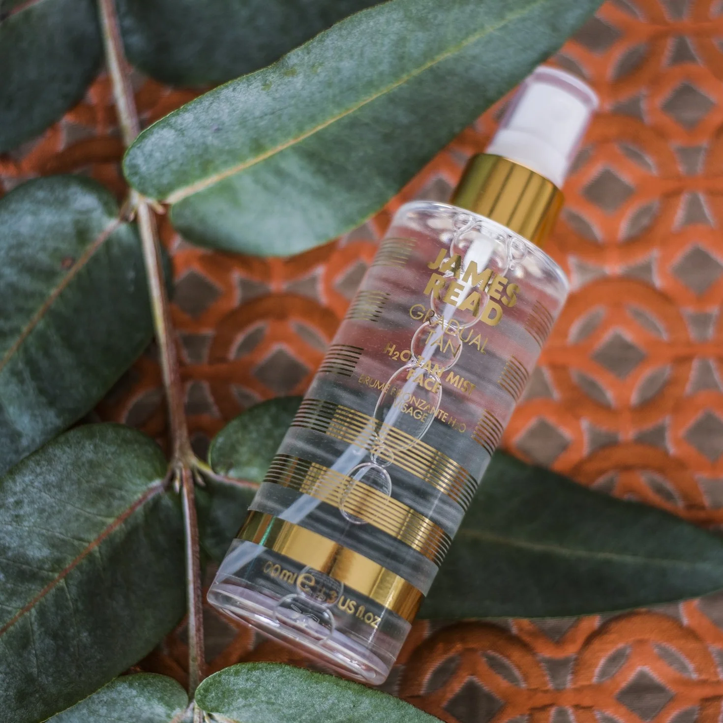 James Read H2O Tan Mist 100 ml