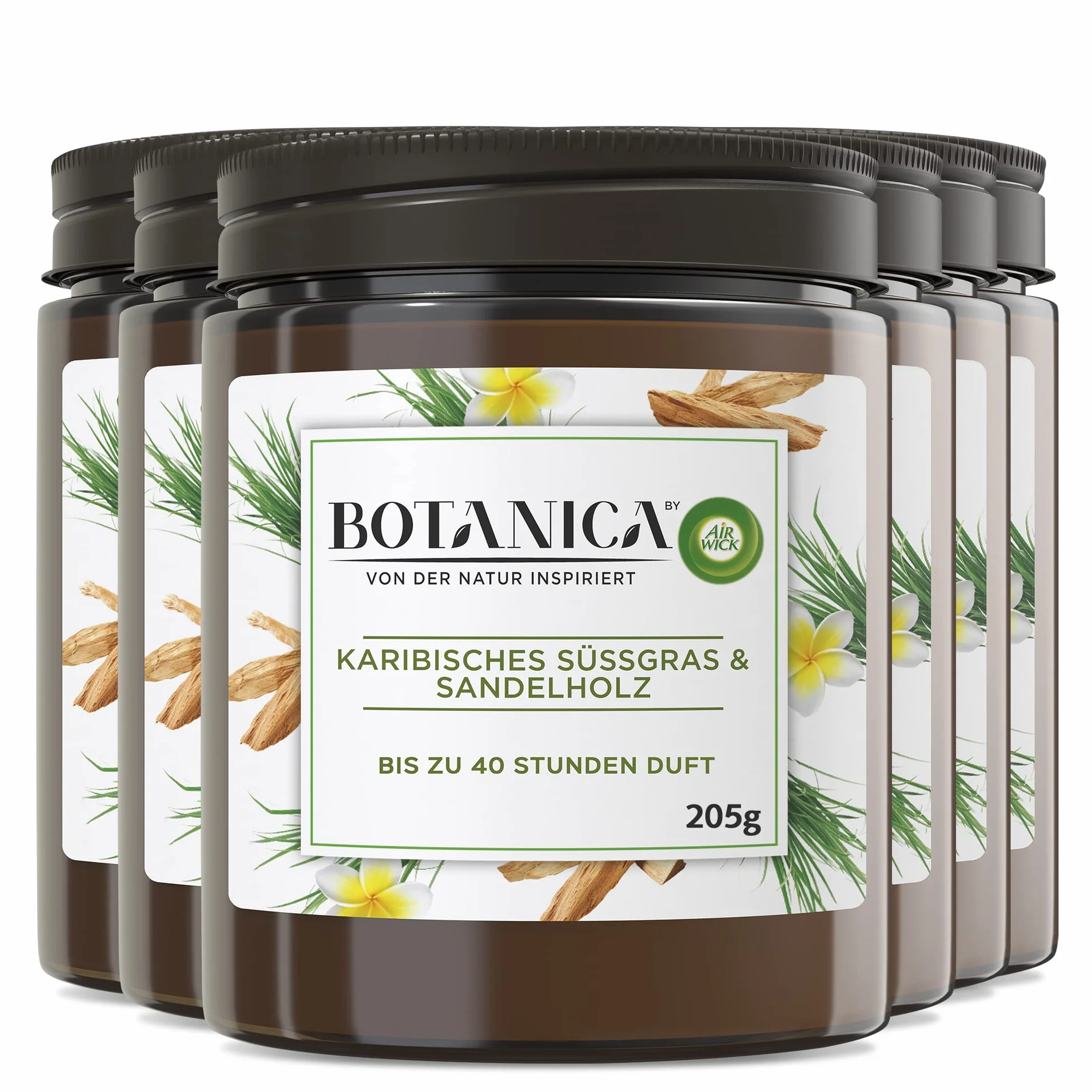 Botanica by Air Wick 6 x świeca zapachowa w słoiku – do 40 godzin na świecę – zapach: słodka trawa i drzewo sandałowe – zrównoważona produkcja z naturalnych składników – 6 x 205 g świeca w słoiku