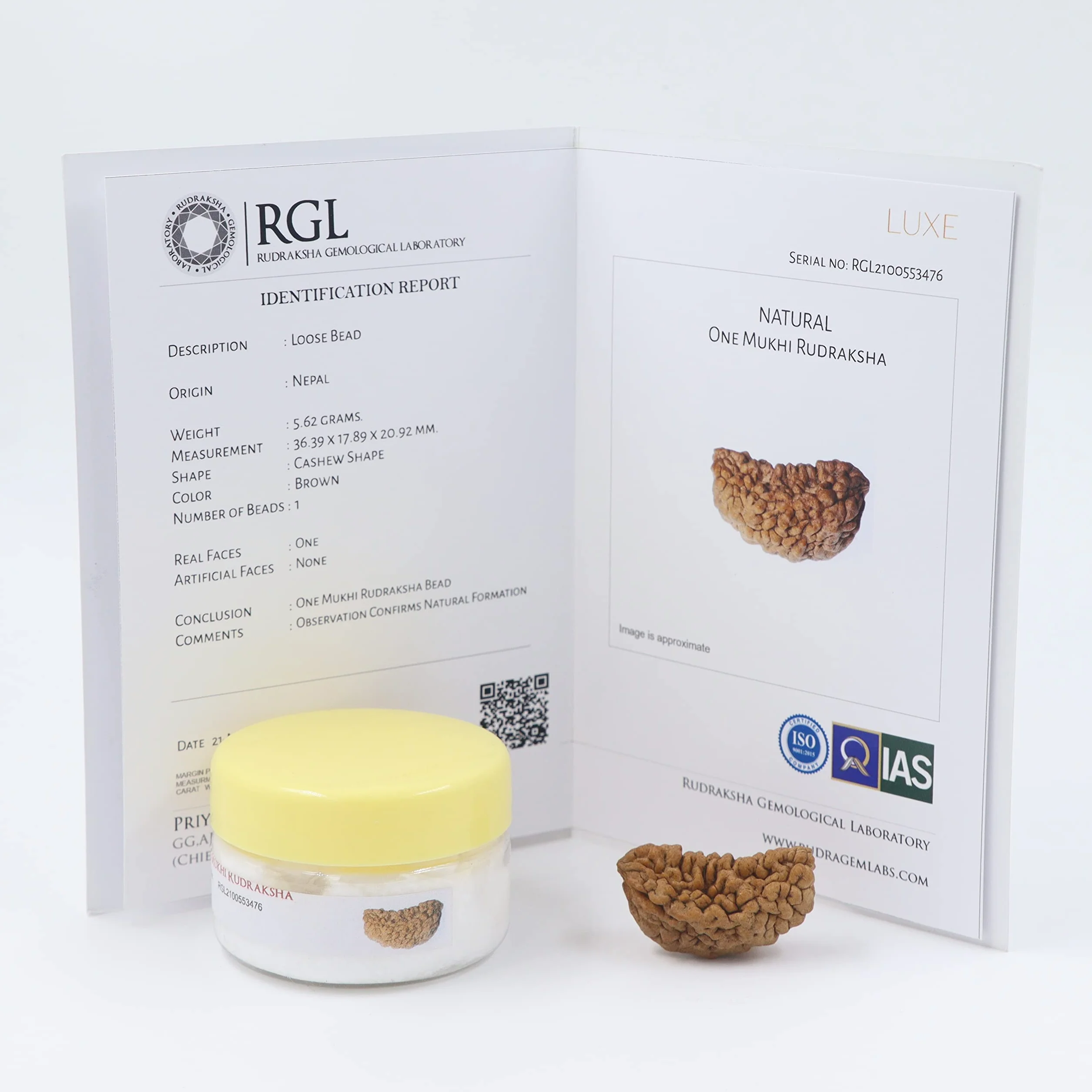 1 Mukhi Rudraksha z certyfikatem autentyczności (Elite Range)