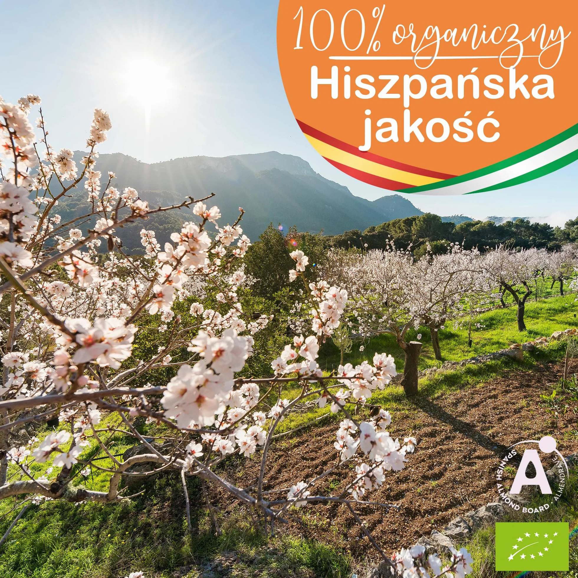 Organiczny Olej Migdałowy, Tłoczony na Zimno, Czysty, Naturalny. Profesjonalny Olejek do Masażu, Włosów i Rzęs, Nawilżania ciała (Paznokcie) Twarzy (Przeciwstarzeniowy) na Rozstępy Ciąży - 1000 ml