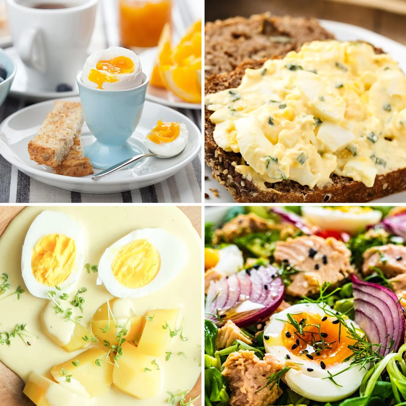 GOURMETmaxx Jajowar na 2 jajka | bojler do jajek z wykrawaczem do jajek w miarce | Egg Cooker – 3 stopnie twardości do kieliszków do jajek | Design mały jajowar – części nadające się do mycia w