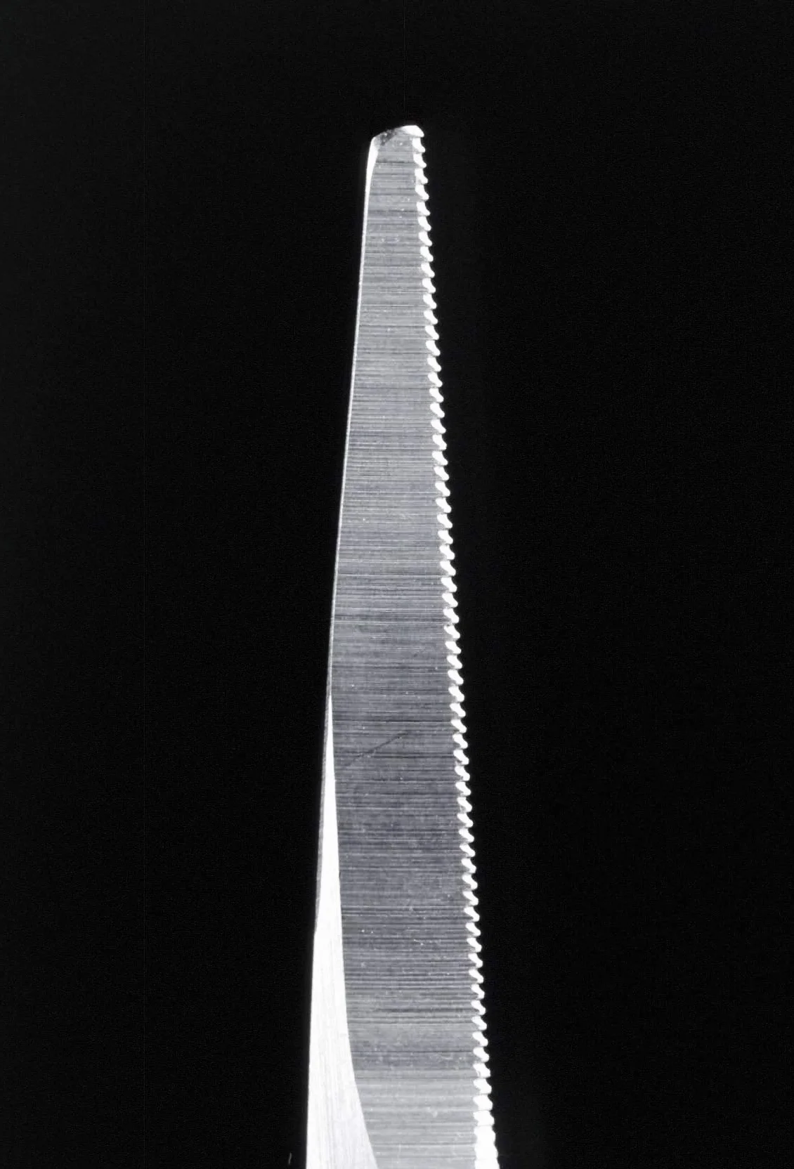 Seki EDGE SS-902 Nożyczki do brody i wąsów ze stali nierdzewnej 12,4 x 5,1 x 0,6 cm