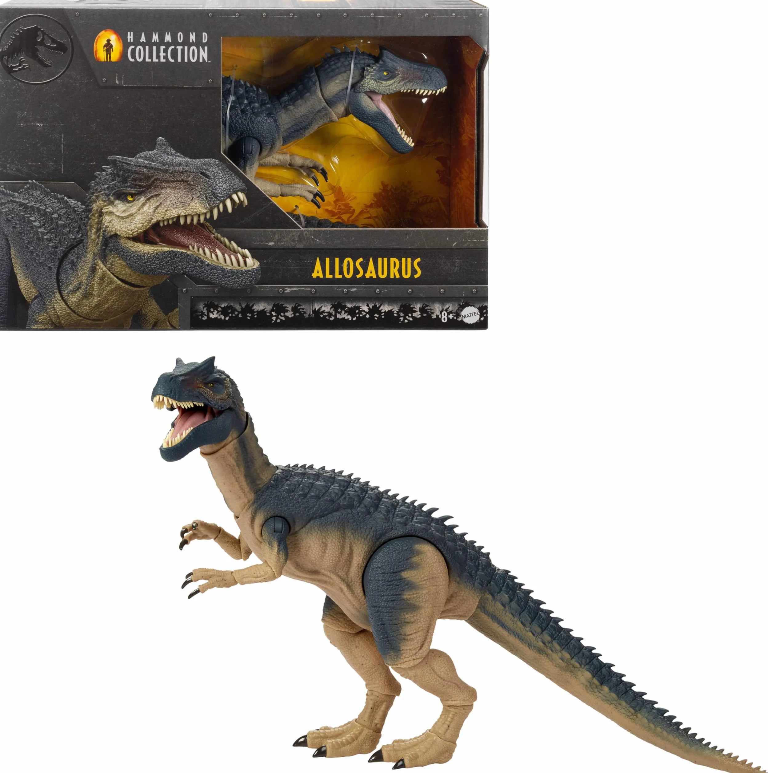 Jurassic World Kolekcja Hammonda Allozaur Dinozaur zabawka Figurka premium ze szklanymi oczami, usztywnionym ogonem i wieloma ruchomymi punktami do ustawiania w różnych pozach,inspirowana filmem,JCG13