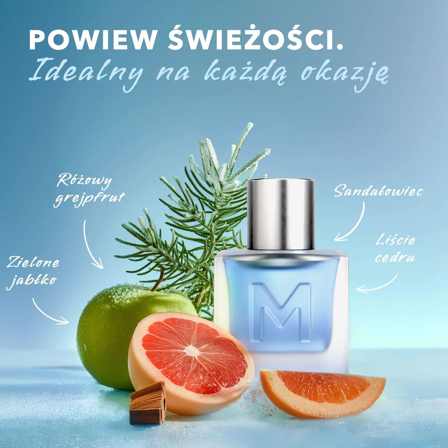 Mexx Ice Touch Męska Woda Toaletowa o Świeżym, Aromatycznym Zapachu Fougere, 50 ml