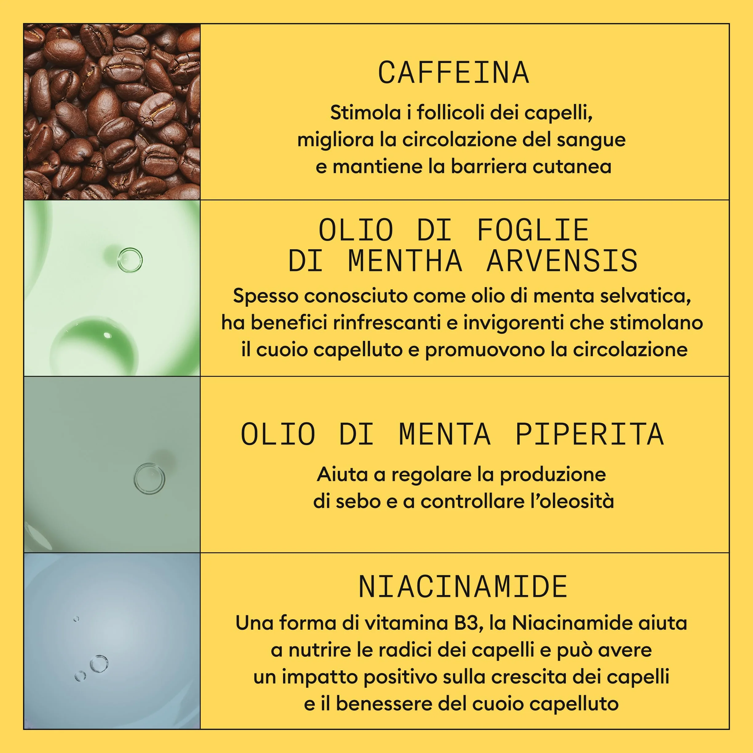 Nioxin Scalp + system zagęszczania włosów, 1 zestaw do trefazy - do włosów naturalnych z łagodnym przerzedzaniem - szampon, odżywka i pielęgnacja skóry głowy (300 + 300 + 100 ml)