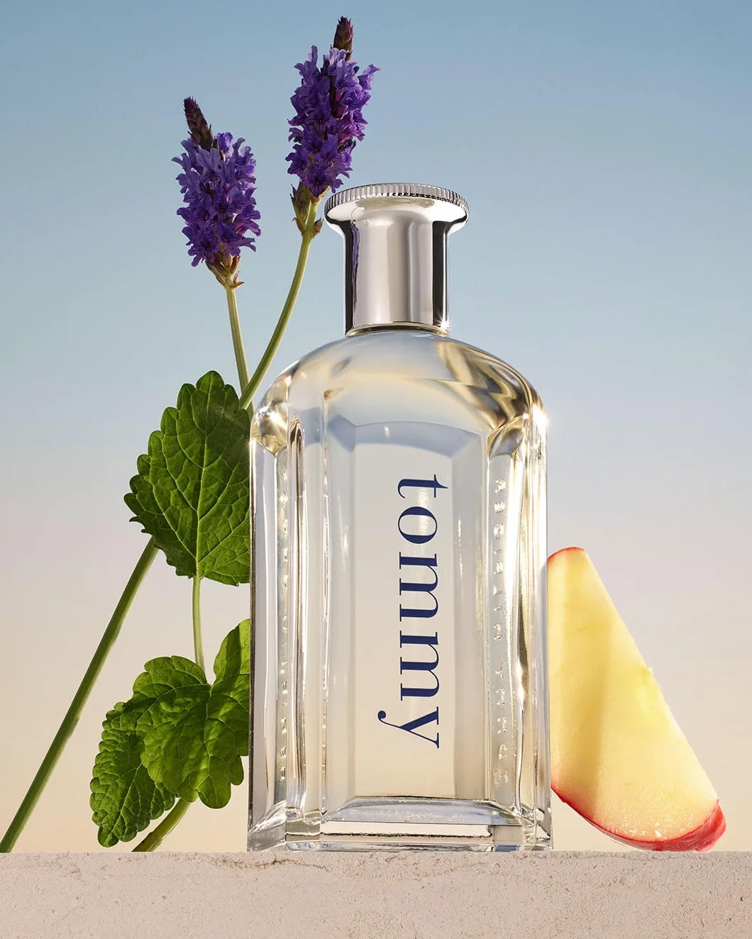 Tommy Hilfiger Woda toaletowa dla mężczyzn, 1 opakowanie (1 x 100 ml)