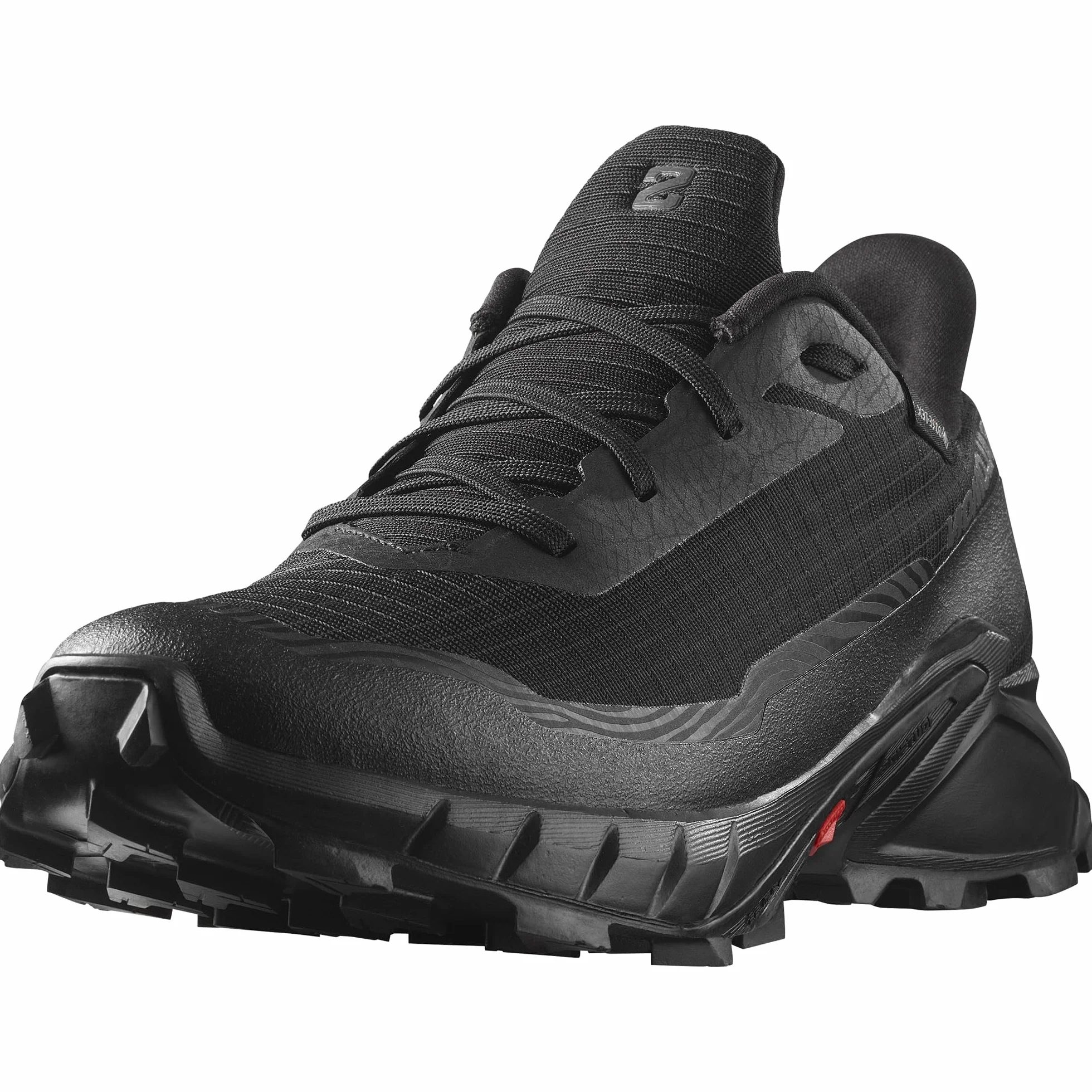 Salomon Mężczyźni Alphacross 5 Gore-texButy trekkingowe