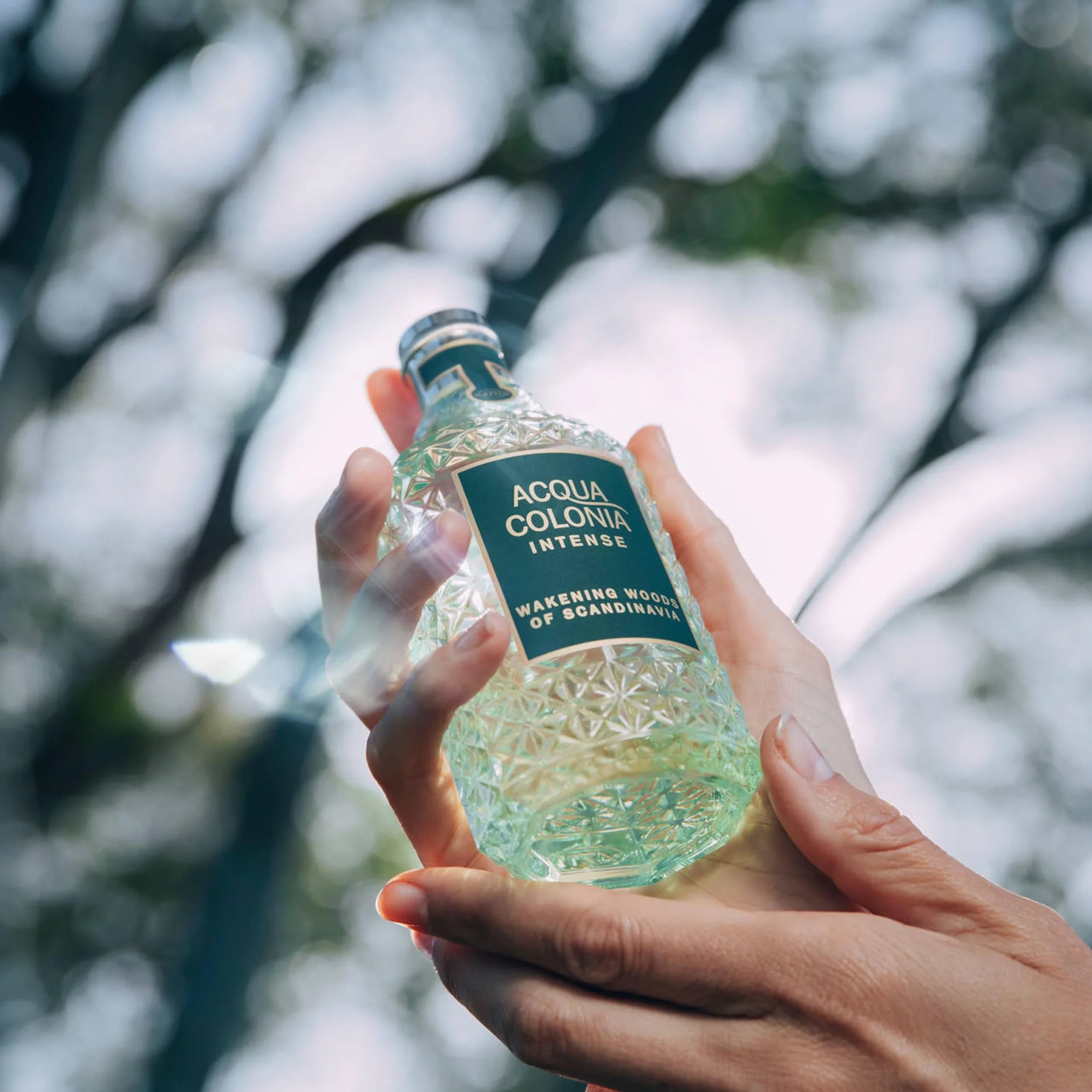 ACQUA COLONIA Intense Wakening Woods of Scandinavia woda kolońska, 170 ml
