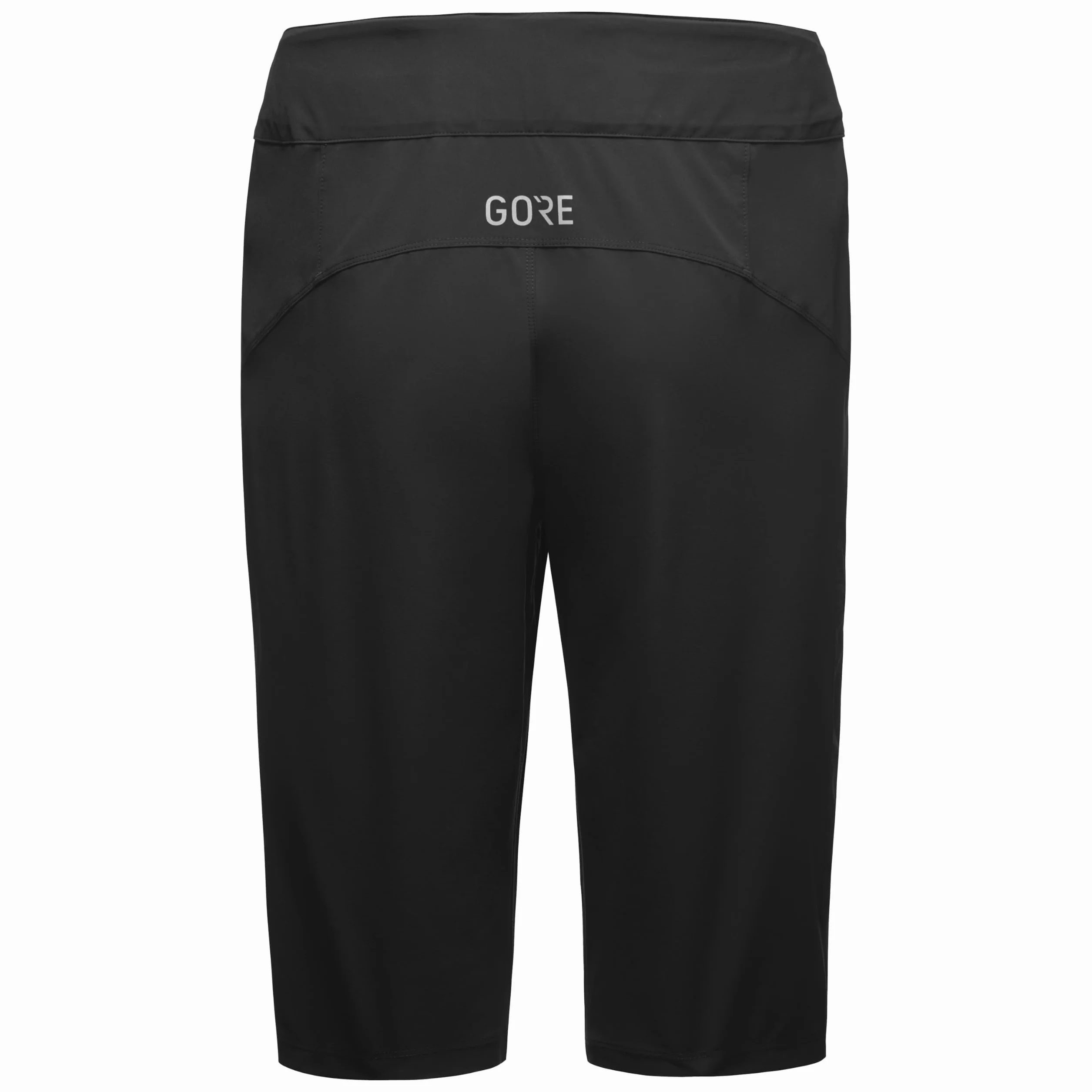 GORE WEAR Passion Shortss