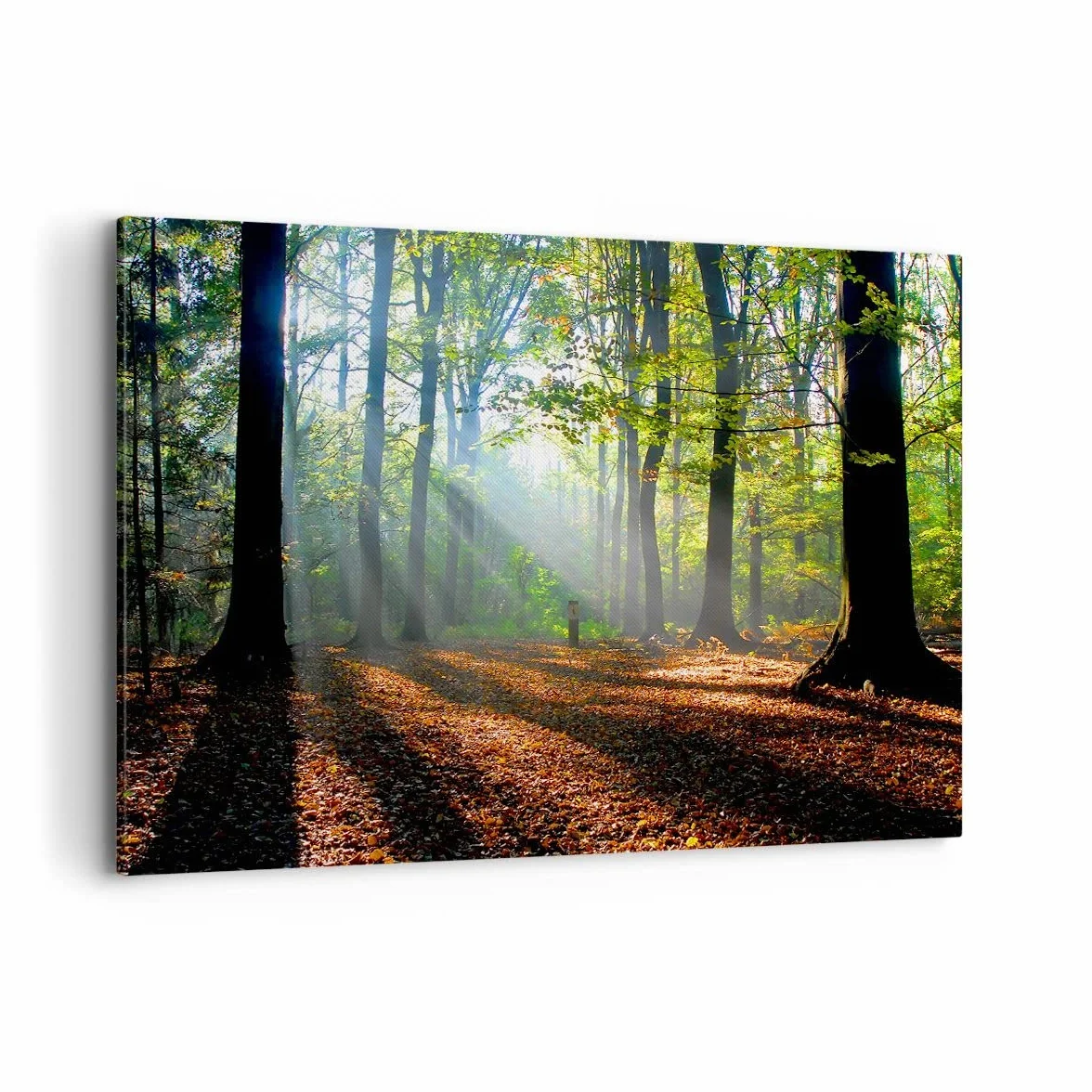 ARTTOR Dekoracja ścienna Salon Las Liście Słońce Obraz na płótnie w ramie 120x80cm Nowoczesny Sypialnia Kuchnia Deko Sztuka na ścianę Duży XXL Obrazy Art Foto Wall Decor Canvas AA120x80-0136
