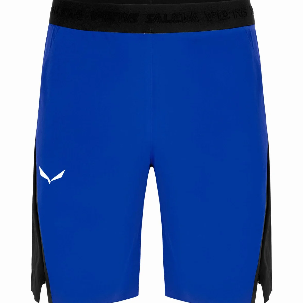 Salewa Pedroc Dst Wo M Shorts - Szorty Mężczyźni