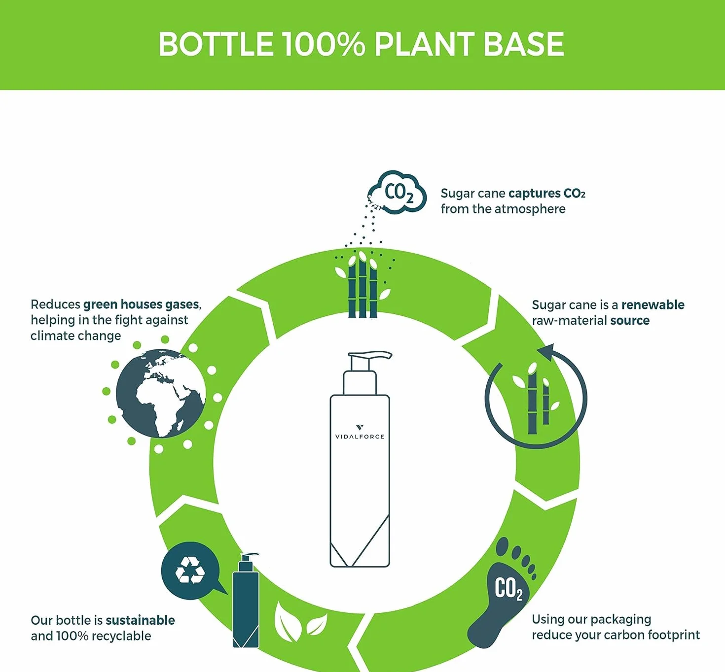 VidalForce Szampon 2 XXL 400 ml | ZWYCIĘZCA 2024 | Szampon Przeciw Wypadaniu Włosów dla Kobiet i Mężczyzn | z Palmetto Sabal i 14 Naturalnymi Składnikami Aktywnymi 400 ml