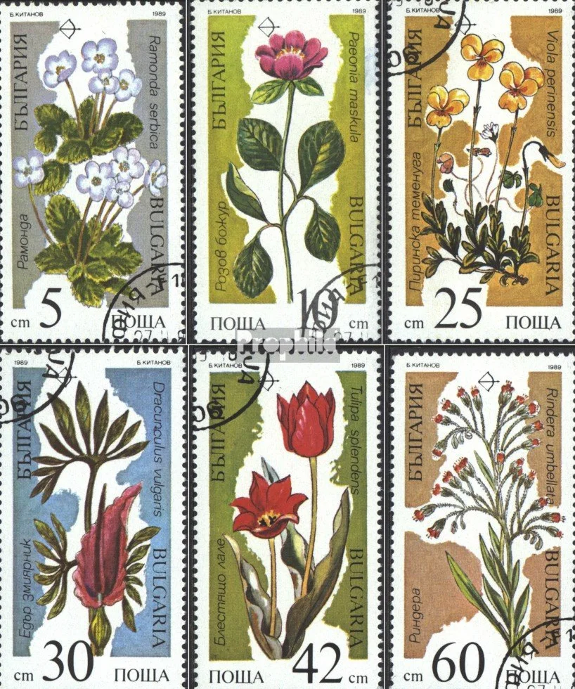 Bu?garia 3735-3740 (pe?ne.Kwestia.) 1989 Affected Ro?liny (Znaczki dla kolekcjonerów) rosliny/grzyby