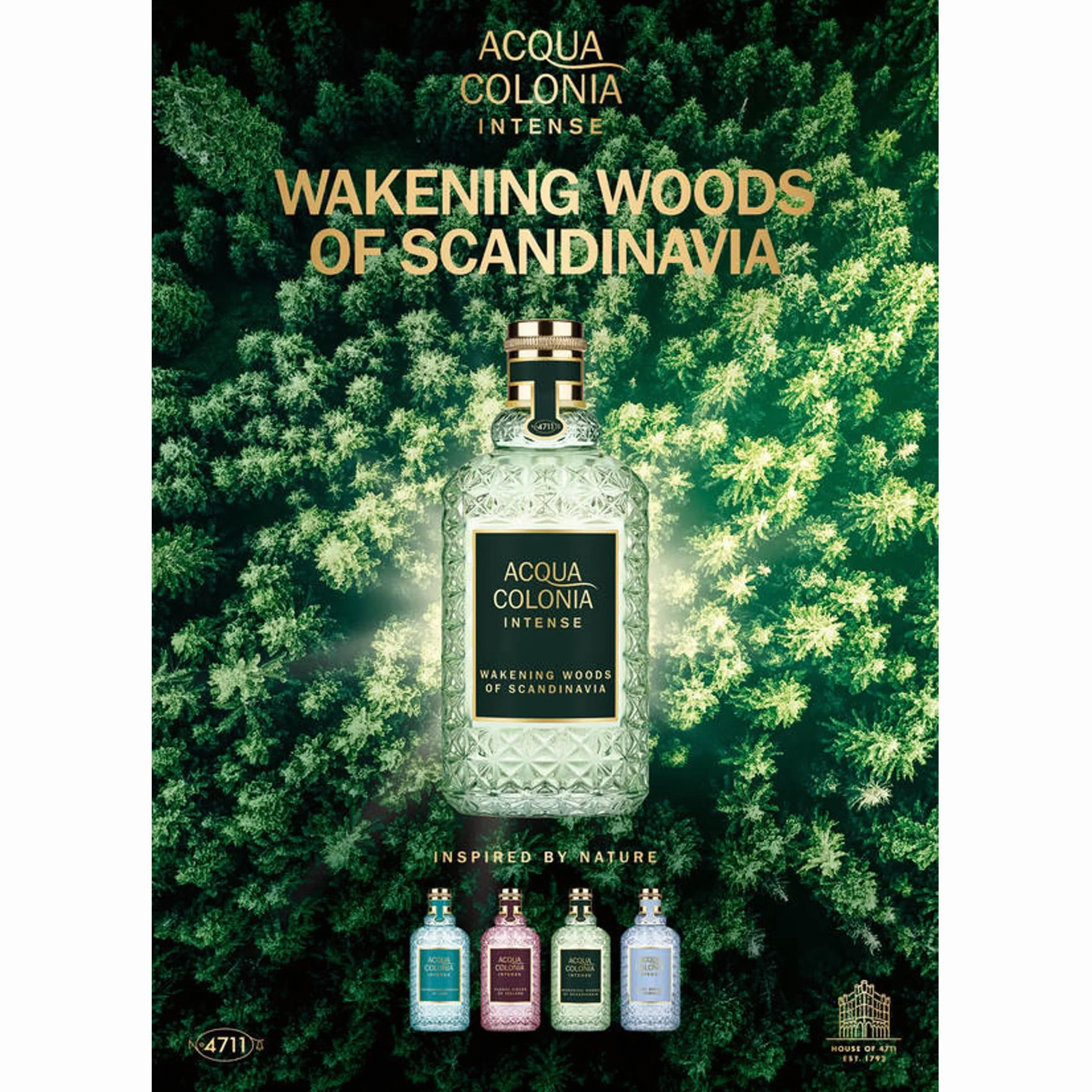 ACQUA COLONIA Intense Wakening Woods of Scandinavia woda kolońska, 170 ml