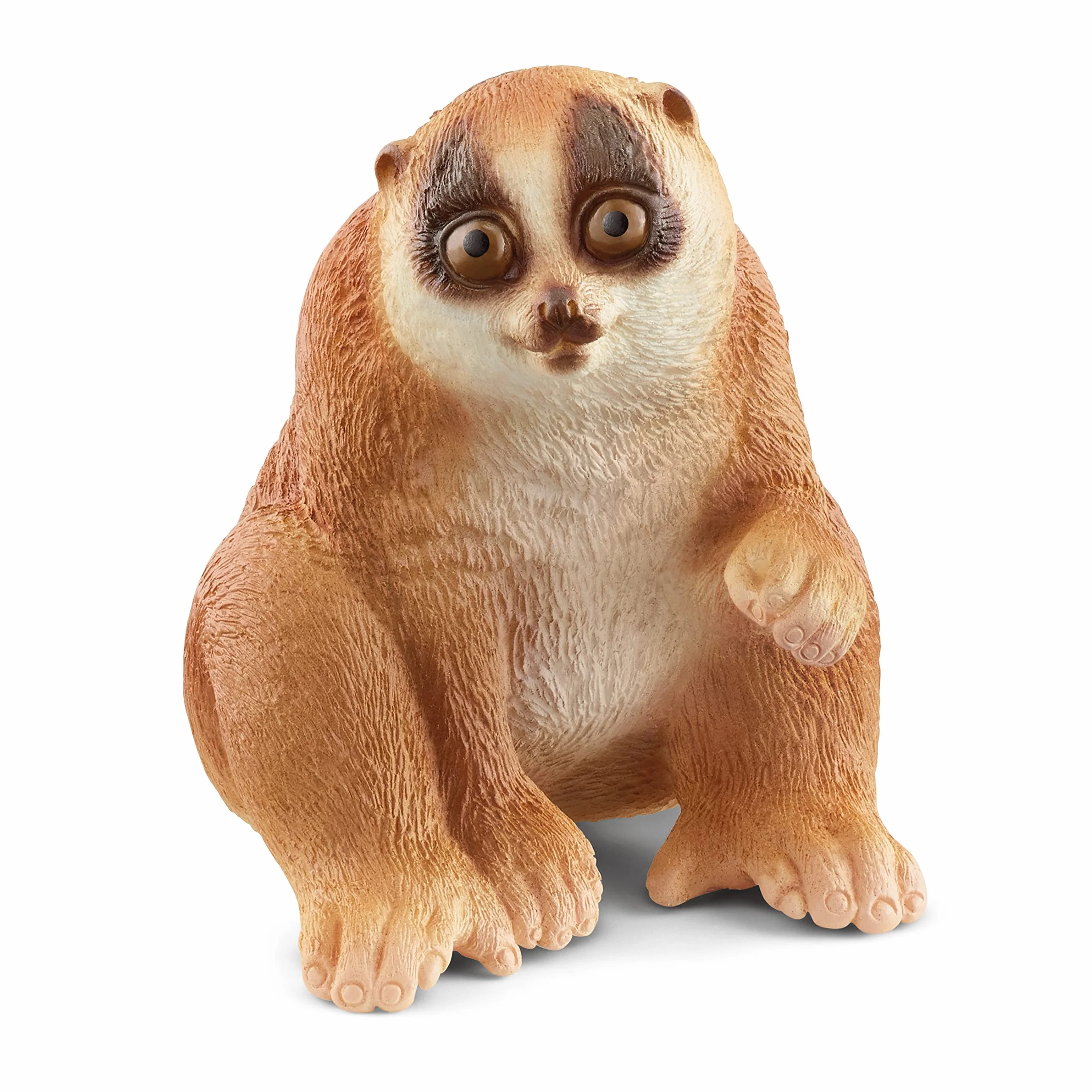 schleich WILD LIFE | Lori wolny 14852 | Szczegółowa figurka zwierzęcia | Zabawka zoo | Prezent dla dzieci | Figurka do zabawy od 3 lat | 3 × 3 × 4 cm