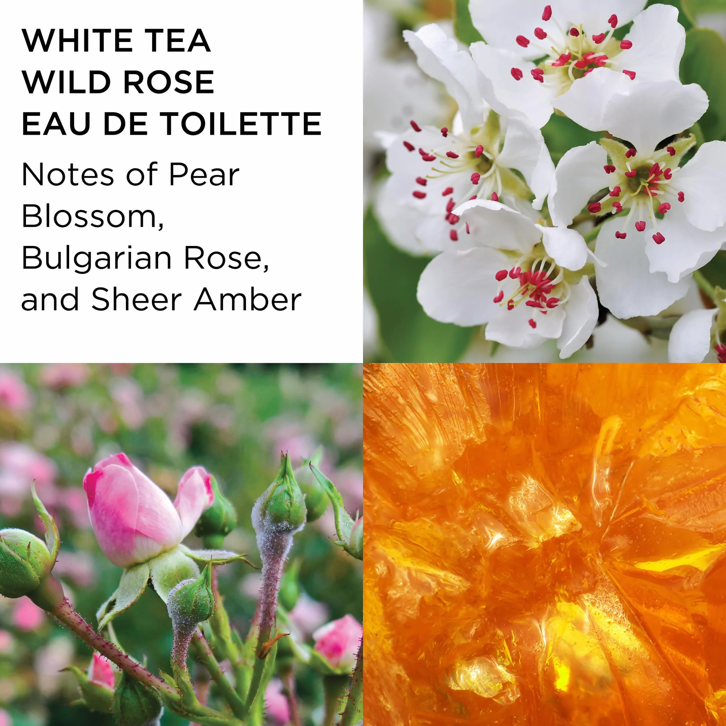 Elizabeth Arden, White Tea, żywy zapach, 3 miniatury po 10 ml, prezent dla kobiet