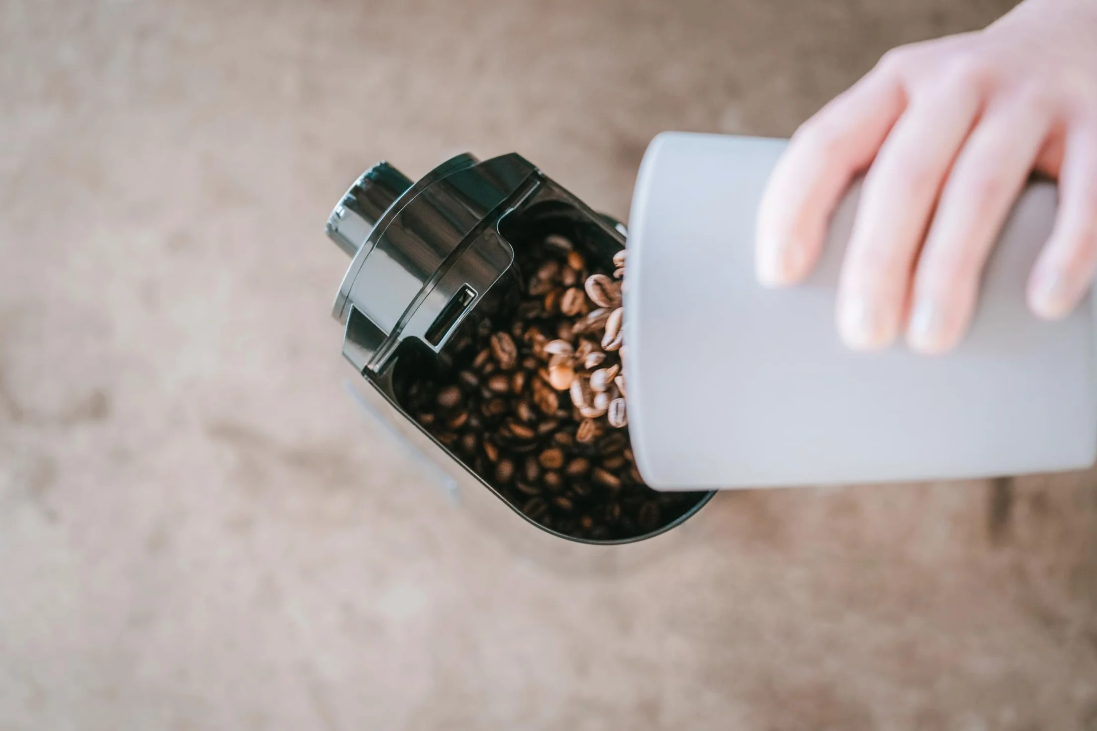 Melitta Molino Elektryczny Młynek do Kawy, Czarny/Stalowy, 1.2 L