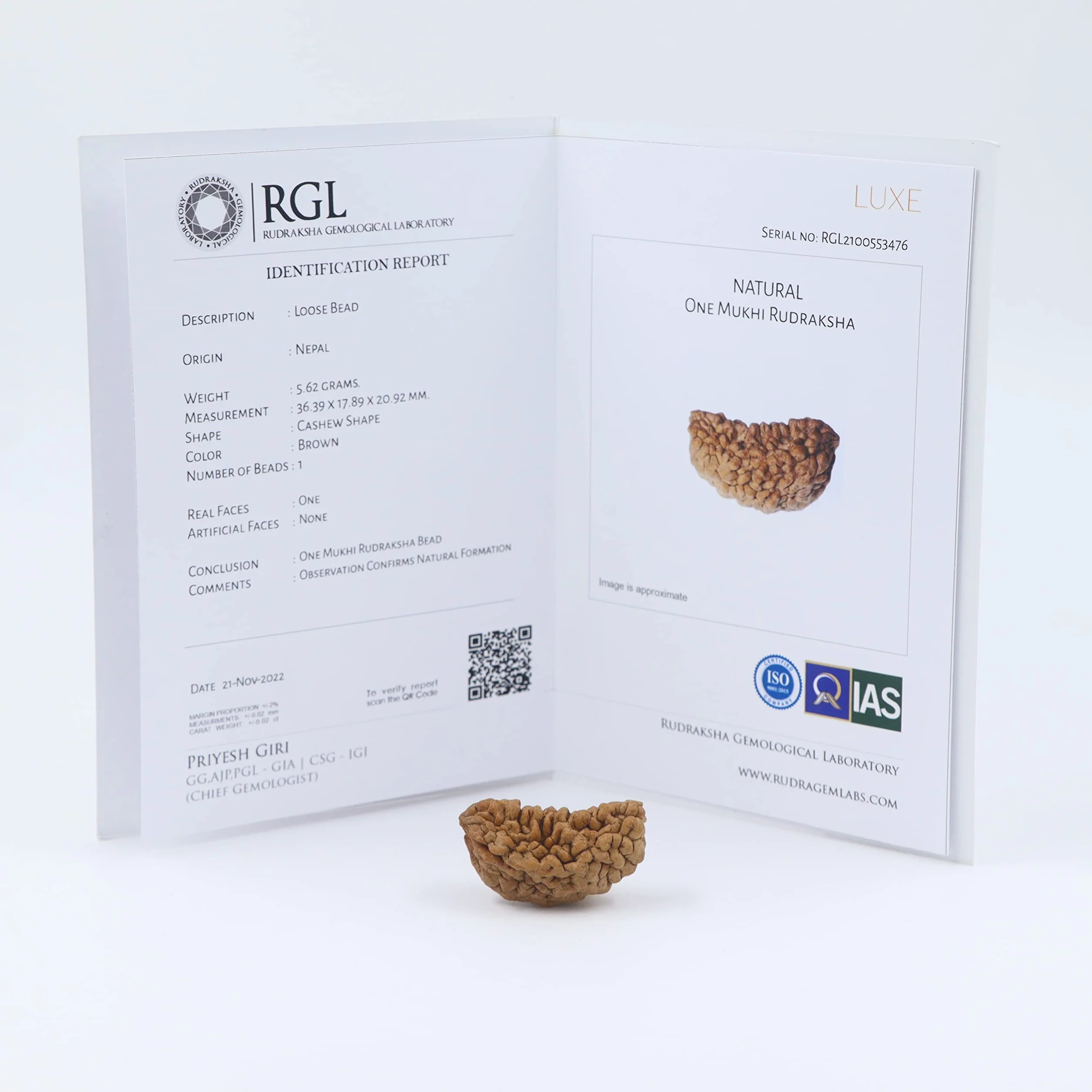 1 Mukhi Rudraksha z certyfikatem autentyczności (Elite Range)