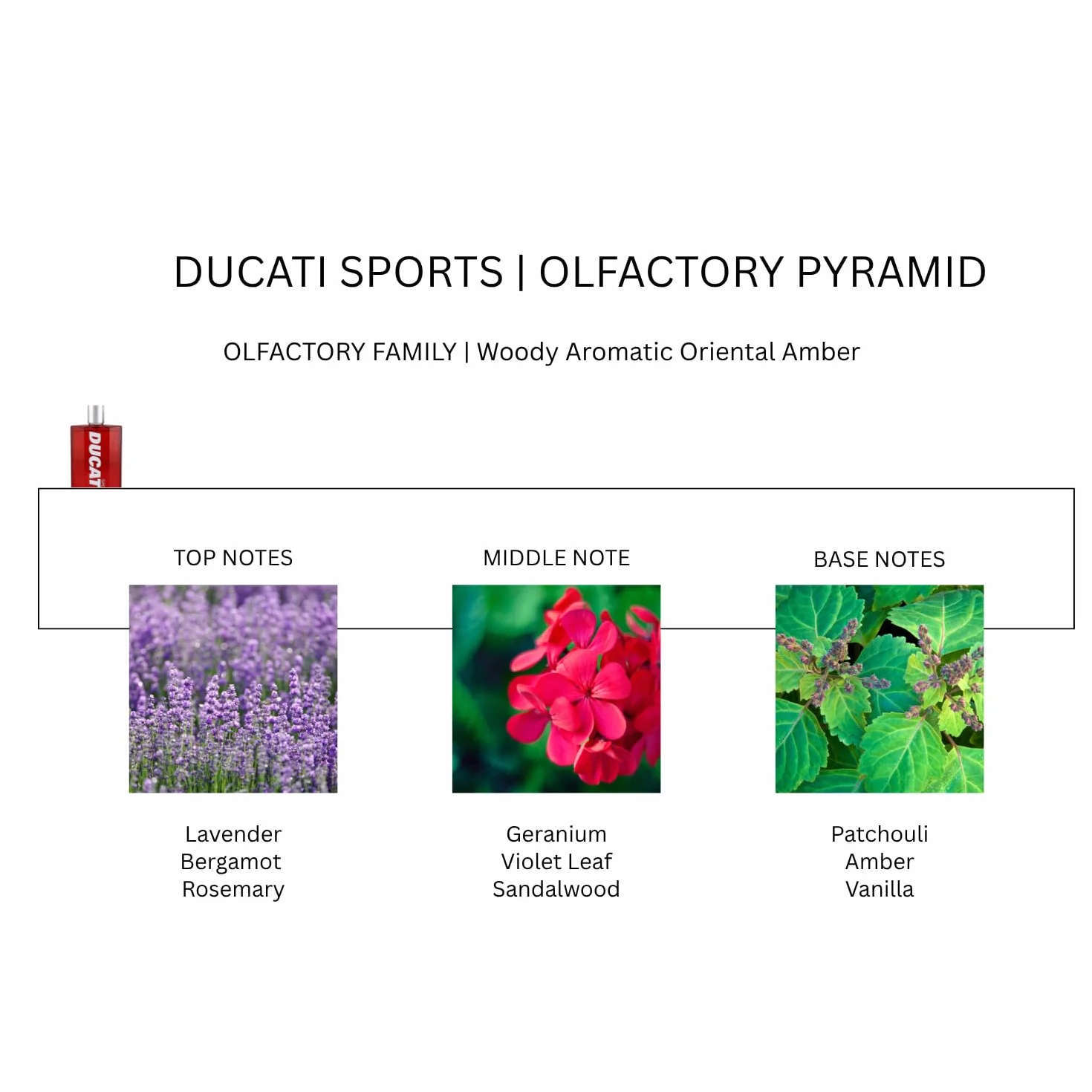DUCATI SPORT zestaw upominkowy, 100 ml perfumy męskie + kosmetyczka
