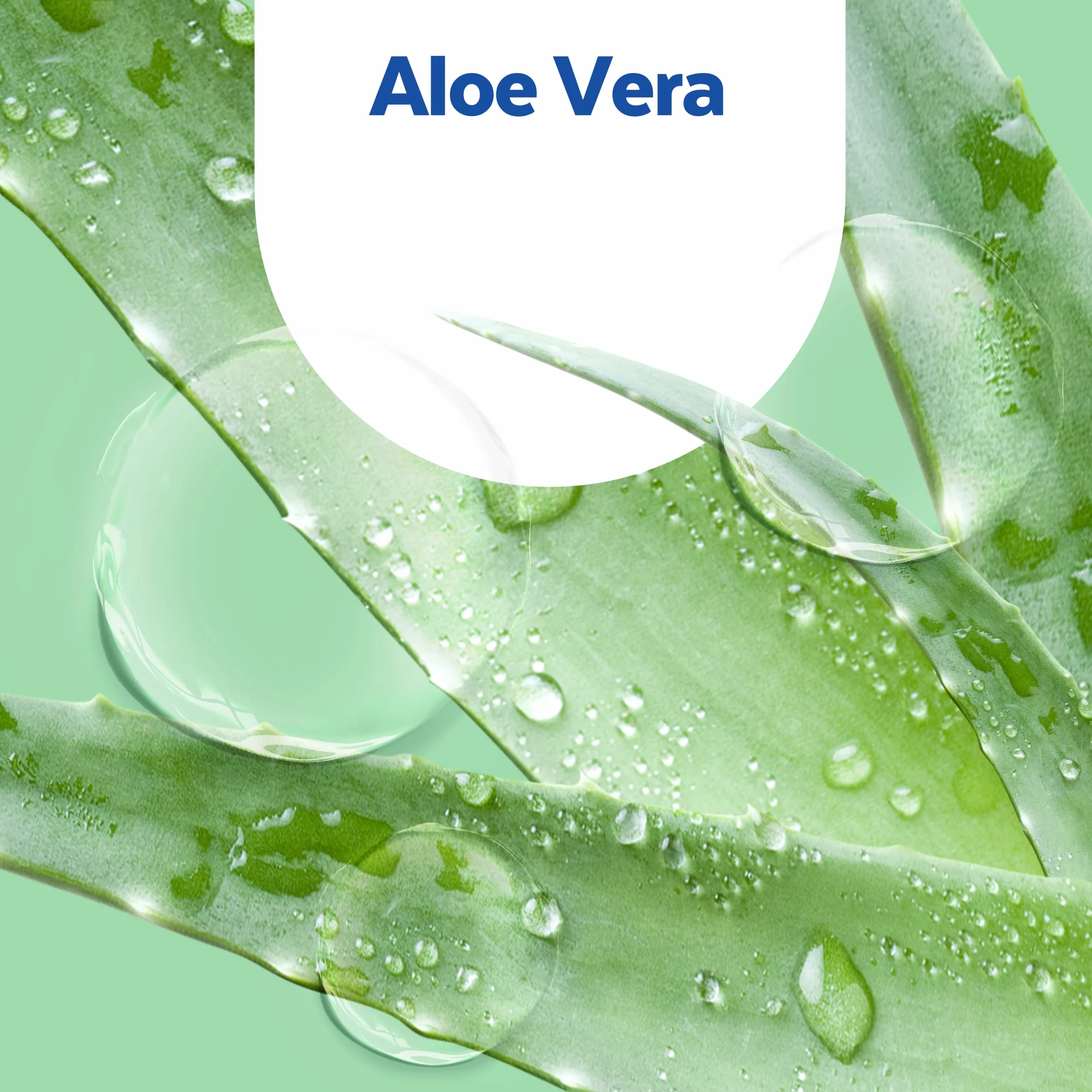Sagrotan No-Touch Wkład do Automatycznego Dozownika Mydła Aloe Vera 5 x 250ml