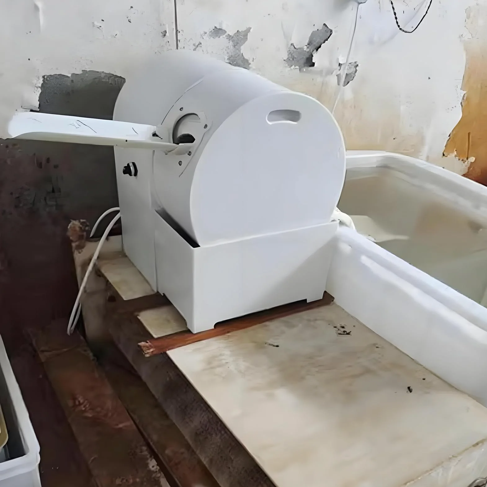 Kompaktowa automatyczna myjka do jaj, 2400 szt./godz. Elektryczna myjka do jaj ze szczotką, idealna dla małych i średnich ferm drobiu oraz wylęgarni